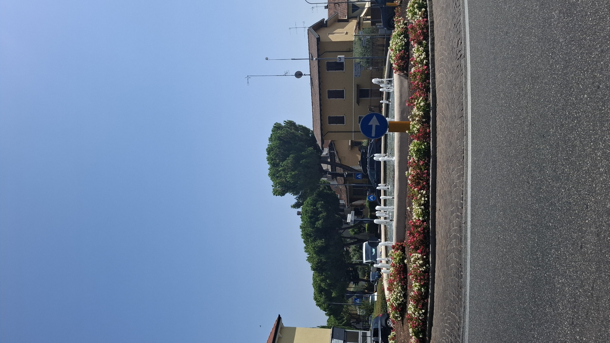 This is a daytime, eye-level, vertical, full shot of a roundabout in Desenzano del Garda, Italy. The sky is clear and blue. The roundabout is decorated with a circular flowerbed filled with red and white flowers. In the center of the roundabout is a fountain with multiple streams of water spraying upwards.
Surrounding the roundabout are several buildings, including a yellow building on the right with a brown tiled roof. Behind the buildings, a line of tall, green pine trees is visible. Various cars, including a white van, are seen in the background, some of which are on the road. A blue traffic sign with a white right-pointing arrow is positioned on a yellow pole in the foreground. The road surface is asphalt. The scene depicts a typical urban environment on a sunny day.
