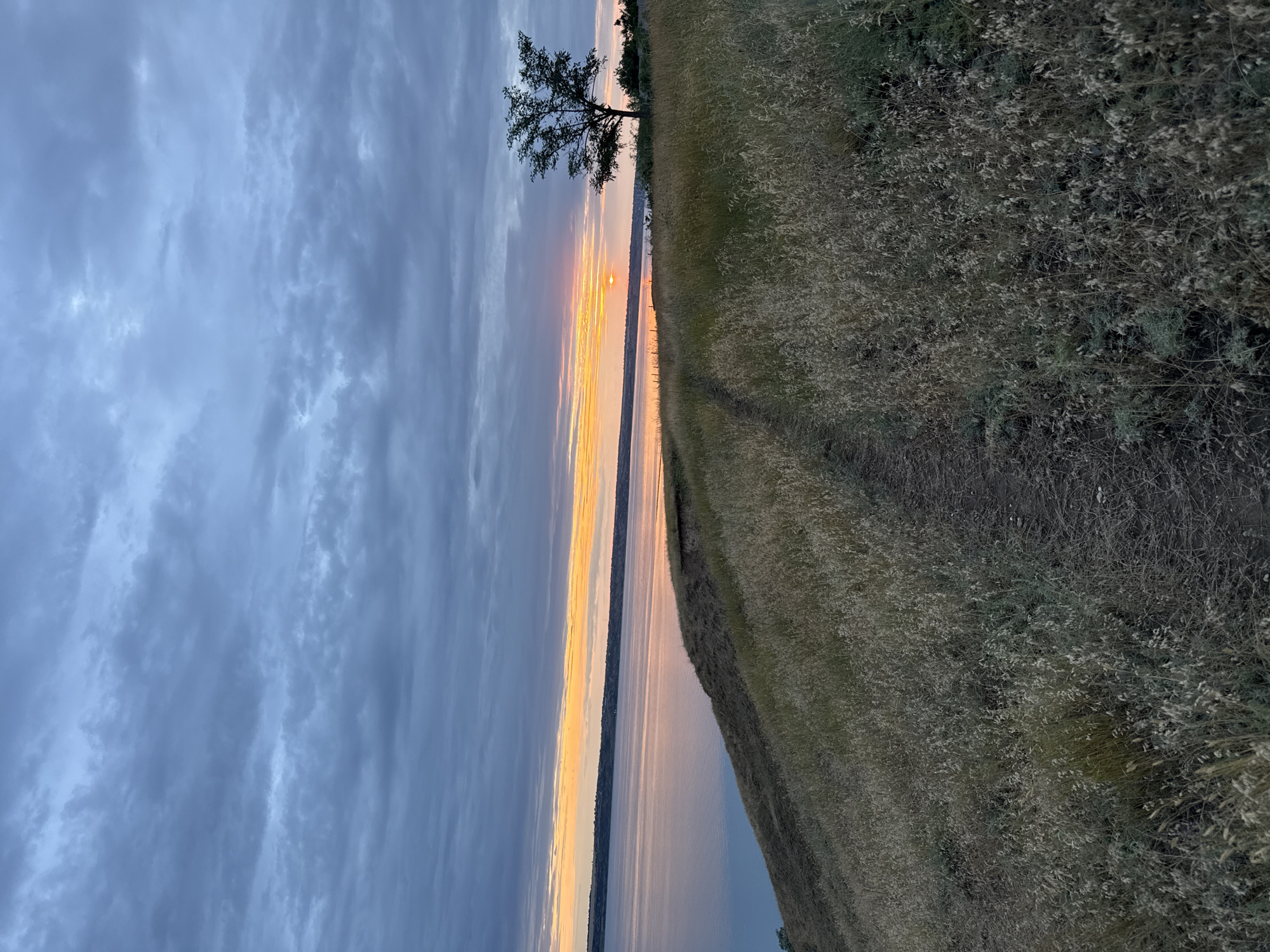 This image depicts a natural landscape at dusk, likely in or near the village of Protopopivka, Ukraine. The foreground features a grassy hillside with a worn dirt path winding its way downwards. The grass appears dry and golden, characteristic of late summer or early autumn.
Dominating the midground is a body of water, possibly a river or reservoir, reflecting the warm hues of the setting sun. Along the far bank, a faint treeline is visible.
In the background, the sky is filled with dramatic clouds, ranging in color from deep blues and grays to streaks of orange and yellow where the sun is setting. A solitary tree stands on the right side of the frame, silhouetted against the colorful sky. The overall atmosphere is serene and tranquil, capturing the beauty of the natural environment at the end of the day. No people or man-made structures are prominently featured in this particular view.