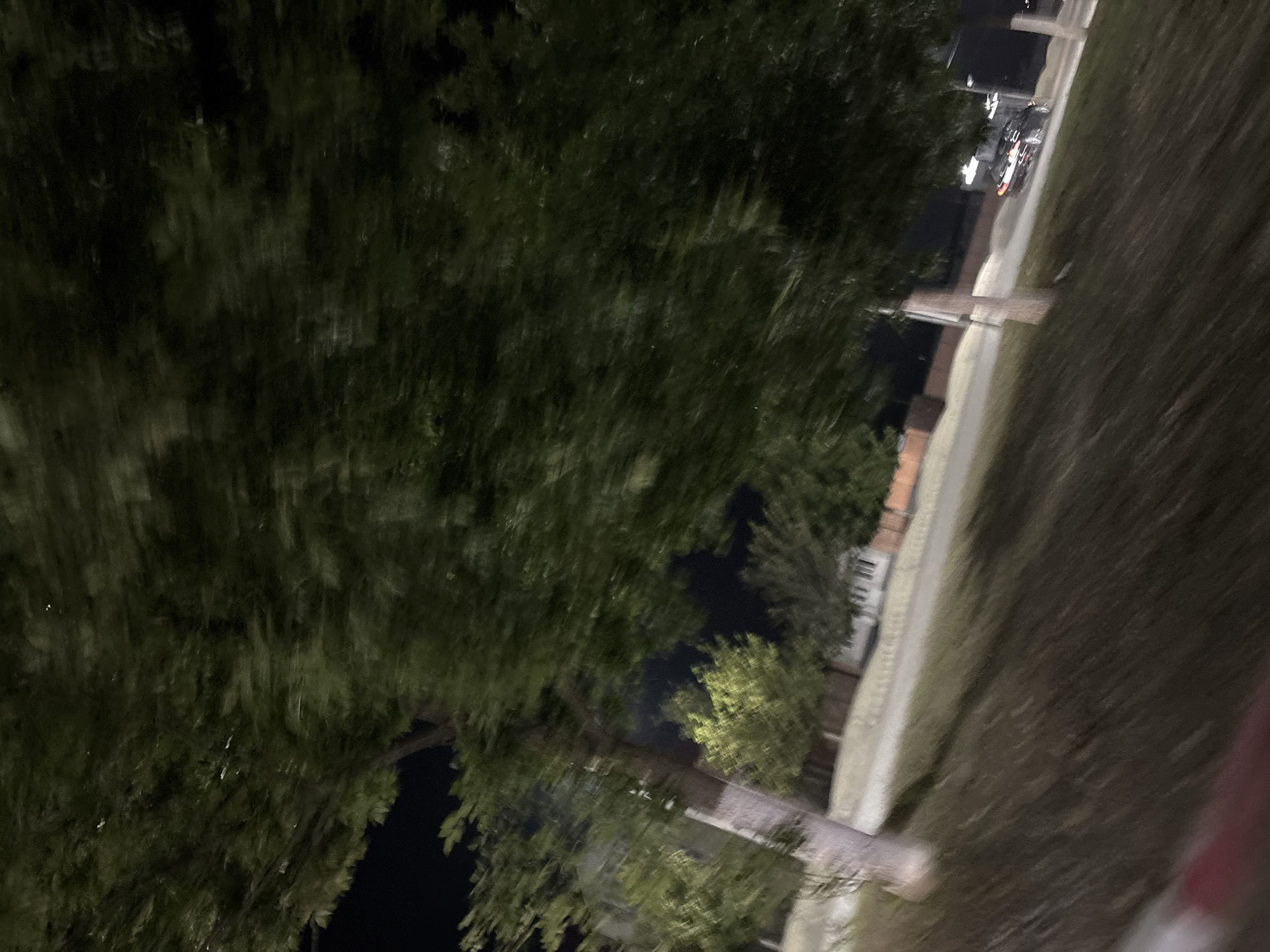 The image depicts a street scene at night, likely in Grozny, Russia. The foreground is dominated by the blurred foliage of a large tree. In the middle ground, a street or pathway is visible, with a dark-colored car driving on it. Beyond the street, there are buildings and more trees, all rendered somewhat indistinct due to motion blur and low light conditions. The overall impression is one of a transient moment captured, possibly from a moving vehicle, showcasing an urban environment under the cover of darkness.