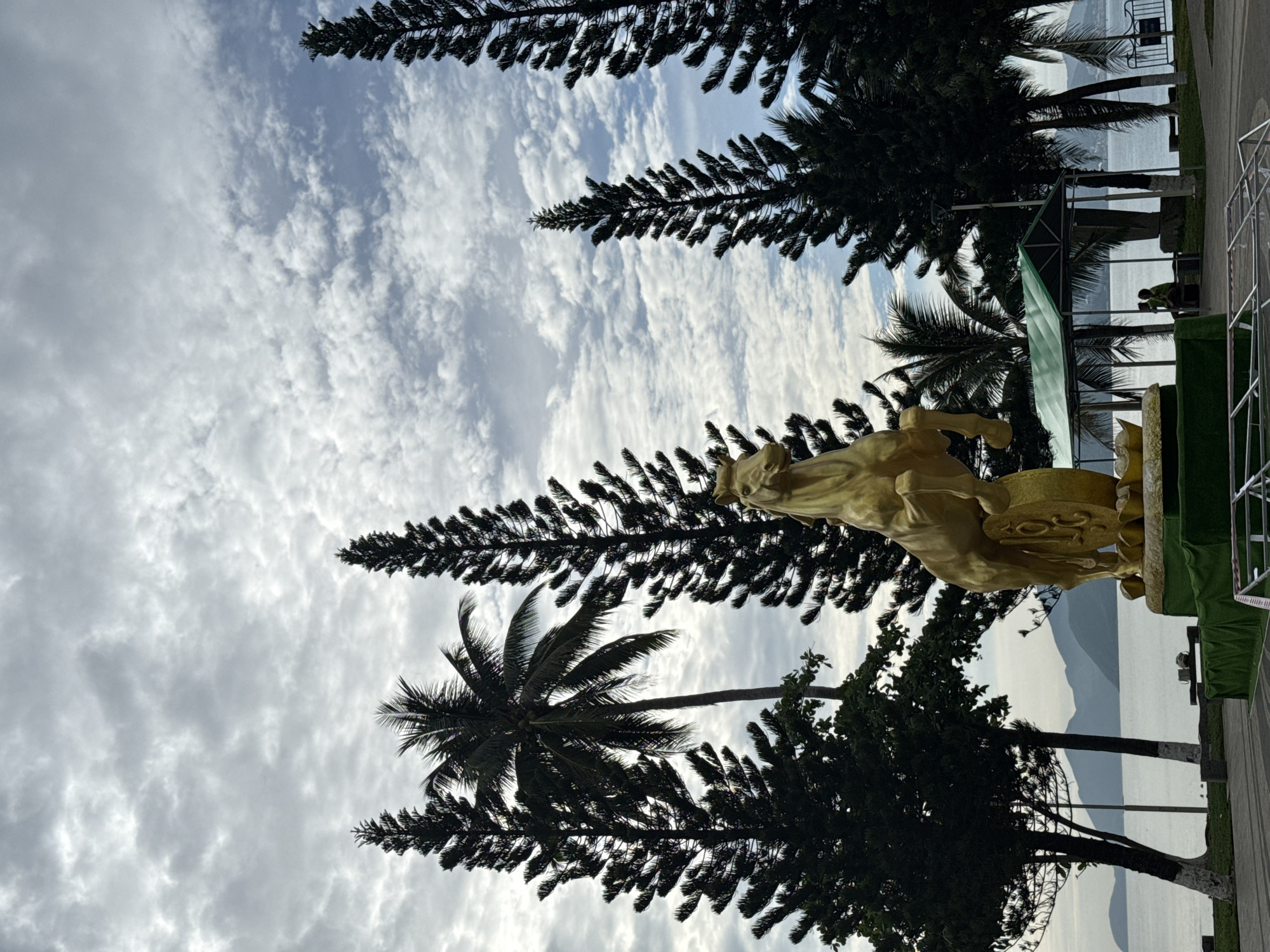 A golden statue of a horse rearing up on a circular base stands in the foreground, at a waterfront park in Nha Trang, Vietnam. The horse statue is positioned to the right of the frame. Behind the statue, several tall, dark green pine trees with a conical shape are visible, along with a tall coconut palm tree in the center. The sky above is filled with white, puffy clouds against a pale blue backdrop. In the middle ground, the calm sea stretches out, meeting a distant coastline with hills. A small green-roofed pavilion is situated behind the horse statue, with two people sitting under it. The park area features paved walkways and grass.