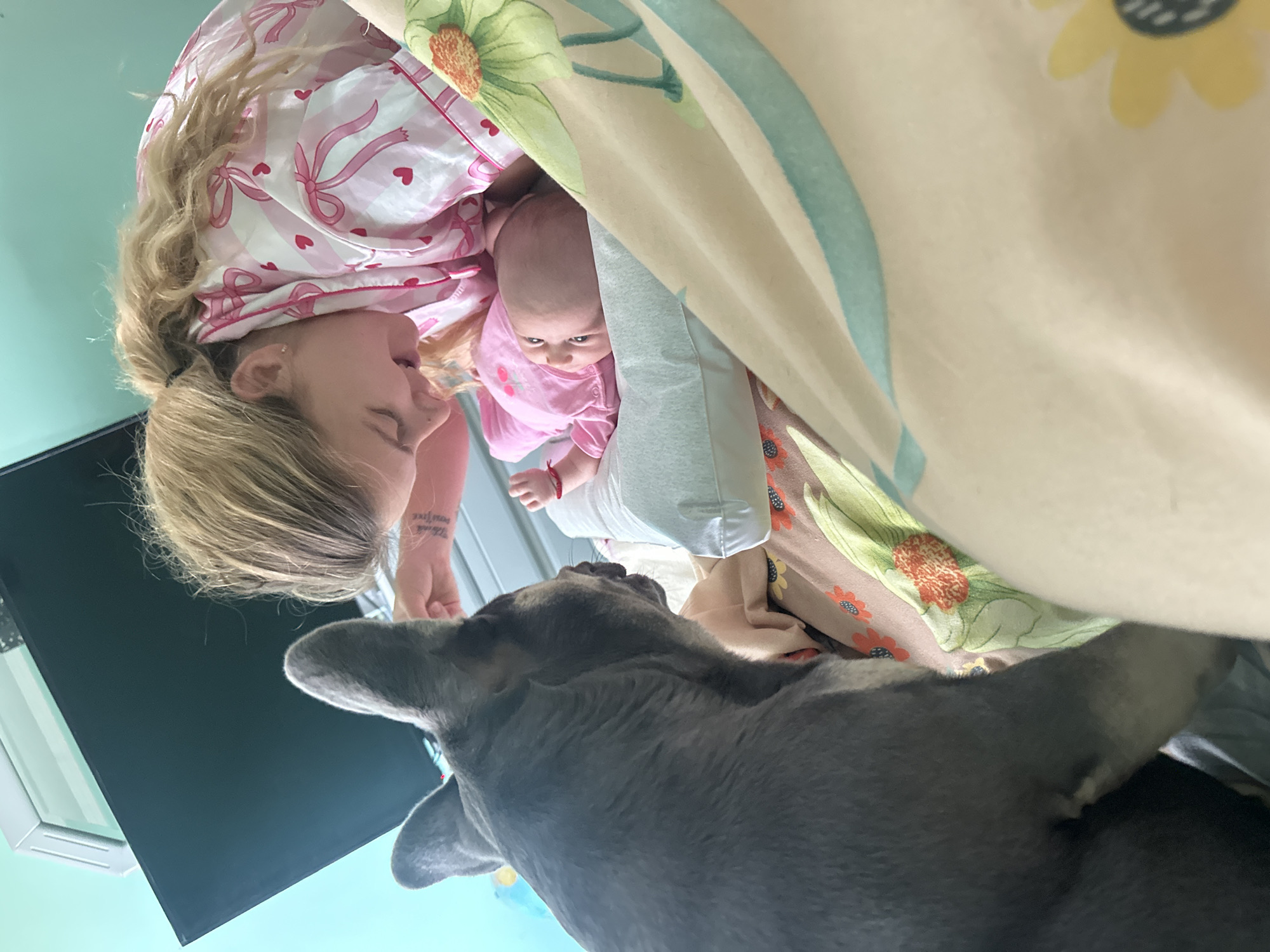 This is a vertical, eye-level, close-up shot of a woman, a baby, and a dog in an indoor setting. The subjects are arranged in a cozy, possibly domestic scene, with a patterned blanket draped over them. The woman, with blonde hair pulled back, wears pink and white pajamas adorned with bows and hearts. She is looking down and smiling at a baby. The baby, wearing a pink onesie, is lying down and looking slightly to the side. Their faces are close, suggesting an affectionate interaction. A gray dog, with its head and upper body visible, is in the foreground, also looking towards the baby and woman, appearing curious. The background is out of focus but suggests a room with light blue walls and possibly a dark surface, like a television, to the left. The overall mood is warm and intimate. The image is well-lit, suggesting it was taken during the daytime. There is no visible text in the image.
