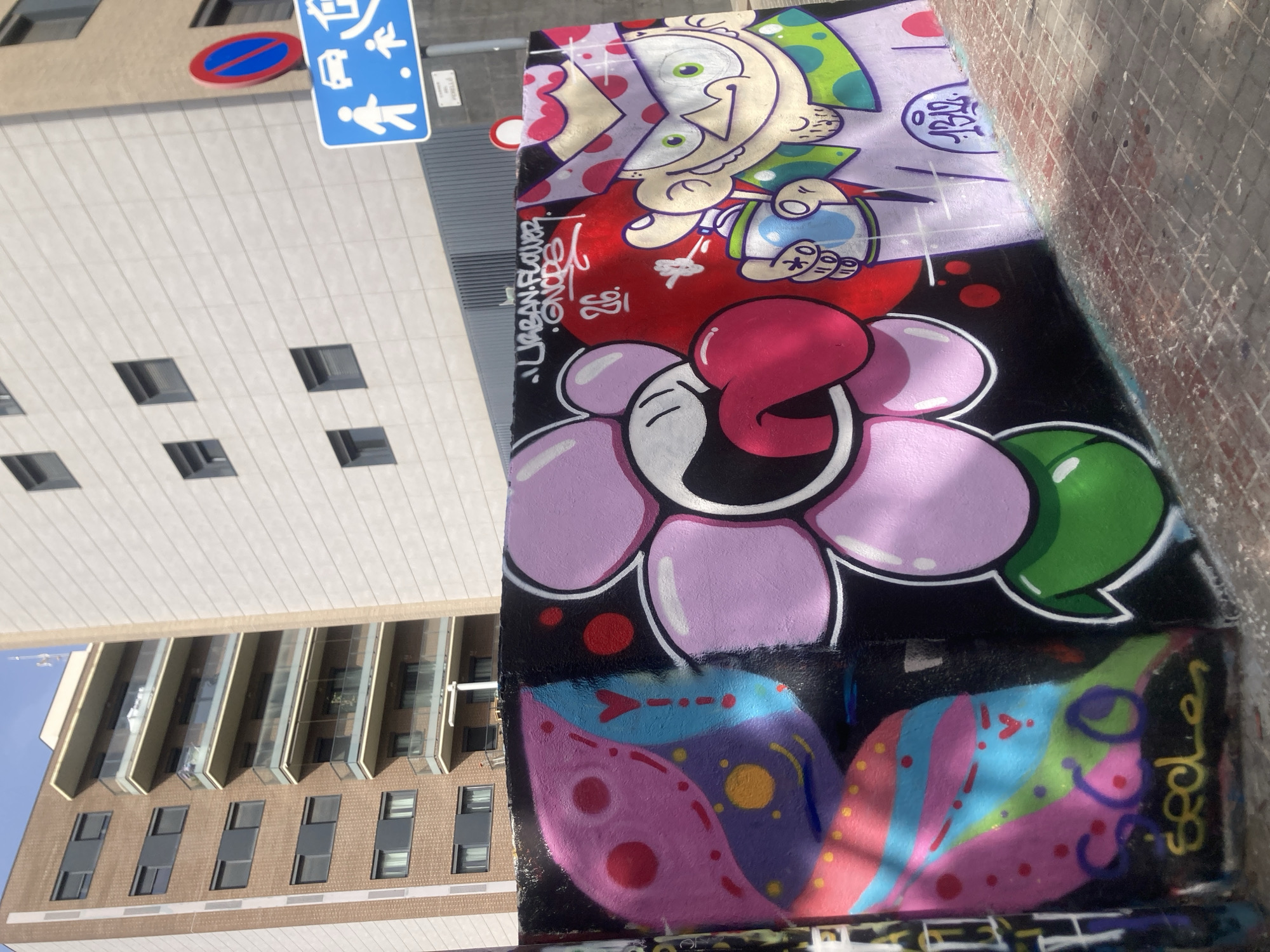 The image captures a section of a graffiti-covered wall in an urban environment, likely in Barcelona, Spain, given the presence of a "No Parking" sign and a pedestrian crossing sign with a house icon, common in Spanish cities. The graffiti features a vibrant, cartoonish style with a large pink flower with a protruding tongue, and to its right, a purple character with green eyes wearing a green and purple patterned garment and a purple crown with pink polka dots. This character is holding a spray can. The wall is also adorned with abstract colorful patterns, including pink circles and blue and pink stripes. The graffiti is applied to a low concrete wall that runs along a sidewalk paved with reddish-brown tiles. Behind the wall, a modern building with a light-colored facade and dark windows is visible, with a taller, brown brick building to its left. The sky above is clear and blue. The lighting suggests it is daytime, with shadows cast on the sidewalk.