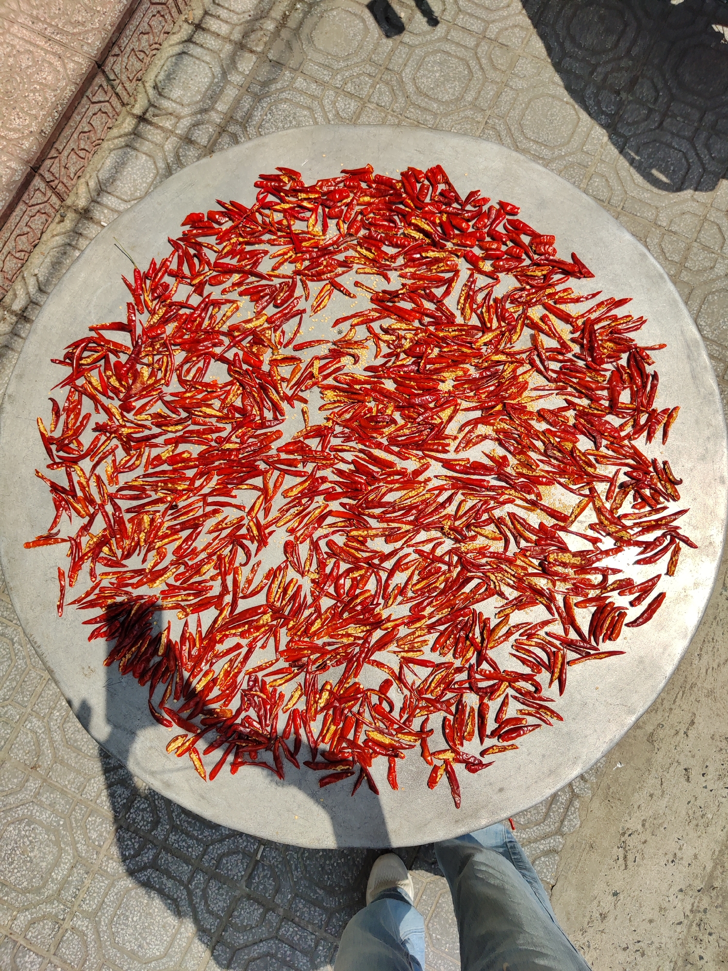 A high-angle shot captures a gray circular tray filled with small, red peppers drying in the sun, situated on a patterned stone surface. The peppers are densely packed, displaying a mix of red and orange hues with some exhibiting cracks or breaks in their skins. A shadow falls across the lower left quadrant of the tray, obscuring some of the peppers. Outside the tray's perimeter, the patterned stone surface transitions to a plain concrete area. At the very bottom right corner, a person wearing light-wash jeans and a white sneaker stands near the tray. The location is suggested as Da Lat, Vietnam.