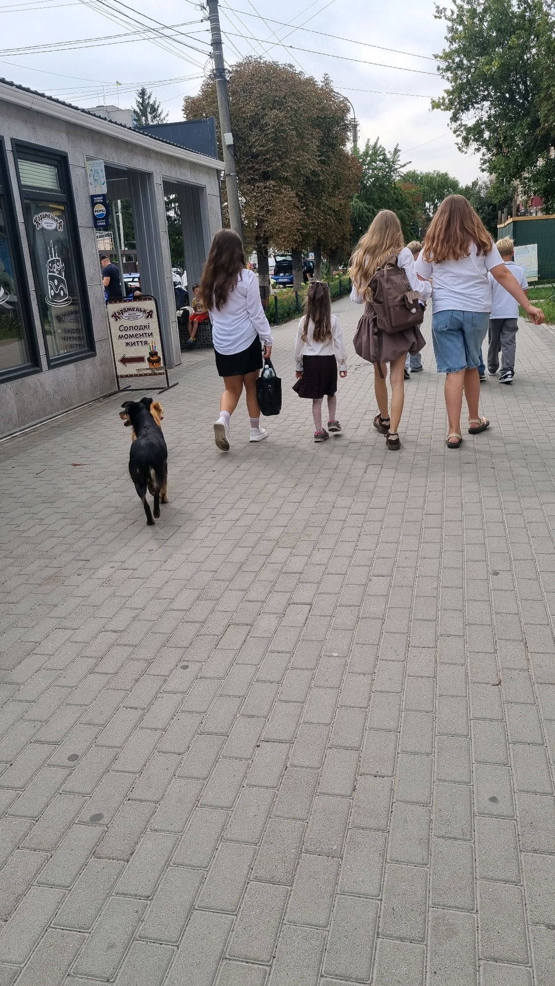 In the city of Smila, Ukraine, on a grey, overcast day, two dogs walk on a paved sidewalk. One dog is black with a tan underside and the other is tan with black markings. A group of four people, three girls and one boy, walk away from the camera down the sidewalk. The girls are dressed in white shirts and dark skirts, and the boy is wearing a white shirt and grey pants. The girls are carrying backpacks and bags. In the background, a building with large windows and a sign that reads "Карамелька" (Karamelka) is visible. Trees with autumn foliage line the street. The sidewalk is made of grey rectangular pavers, and there are some small circles visible on some of the pavers. The overall scene suggests a casual outing in a semi-urban environment.