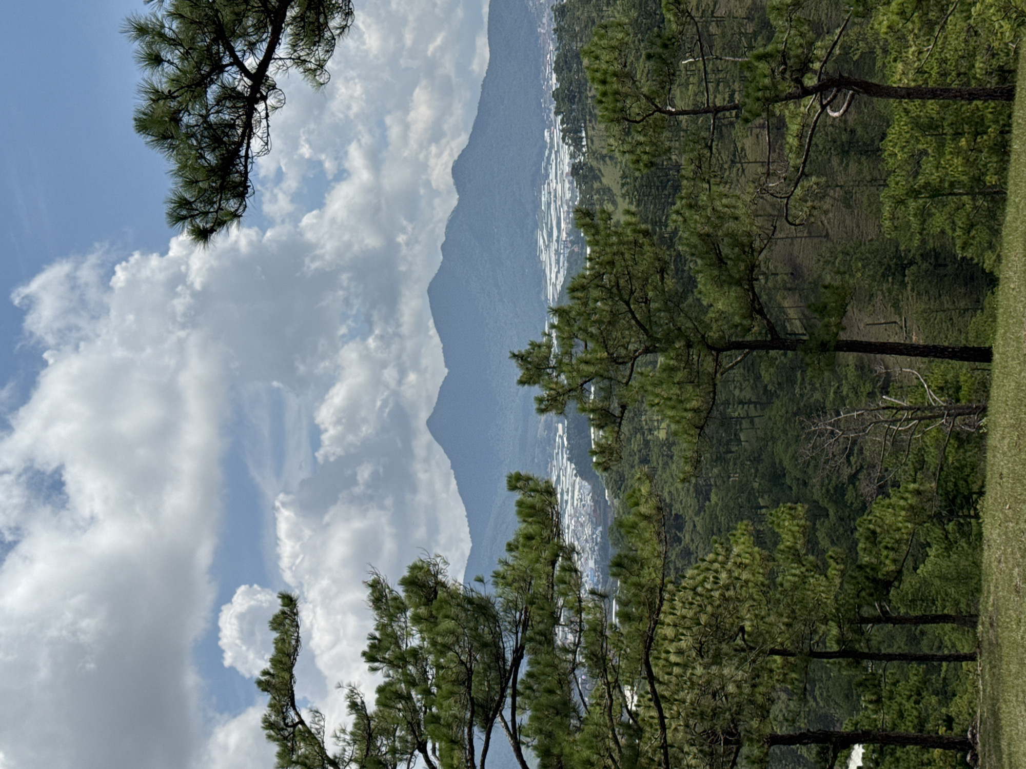The image shows a landscape in Lạc Dương, Vietnam. A mountain range is visible in the background, partially obscured by clouds in a blue sky. The foreground features pine trees, with a dense forest covering the hillsides. Buildings or structures are visible in the middle ground nestled between the mountains and forest. Grass covers a portion of the foreground, to the right of the trees. The image is oriented vertically.