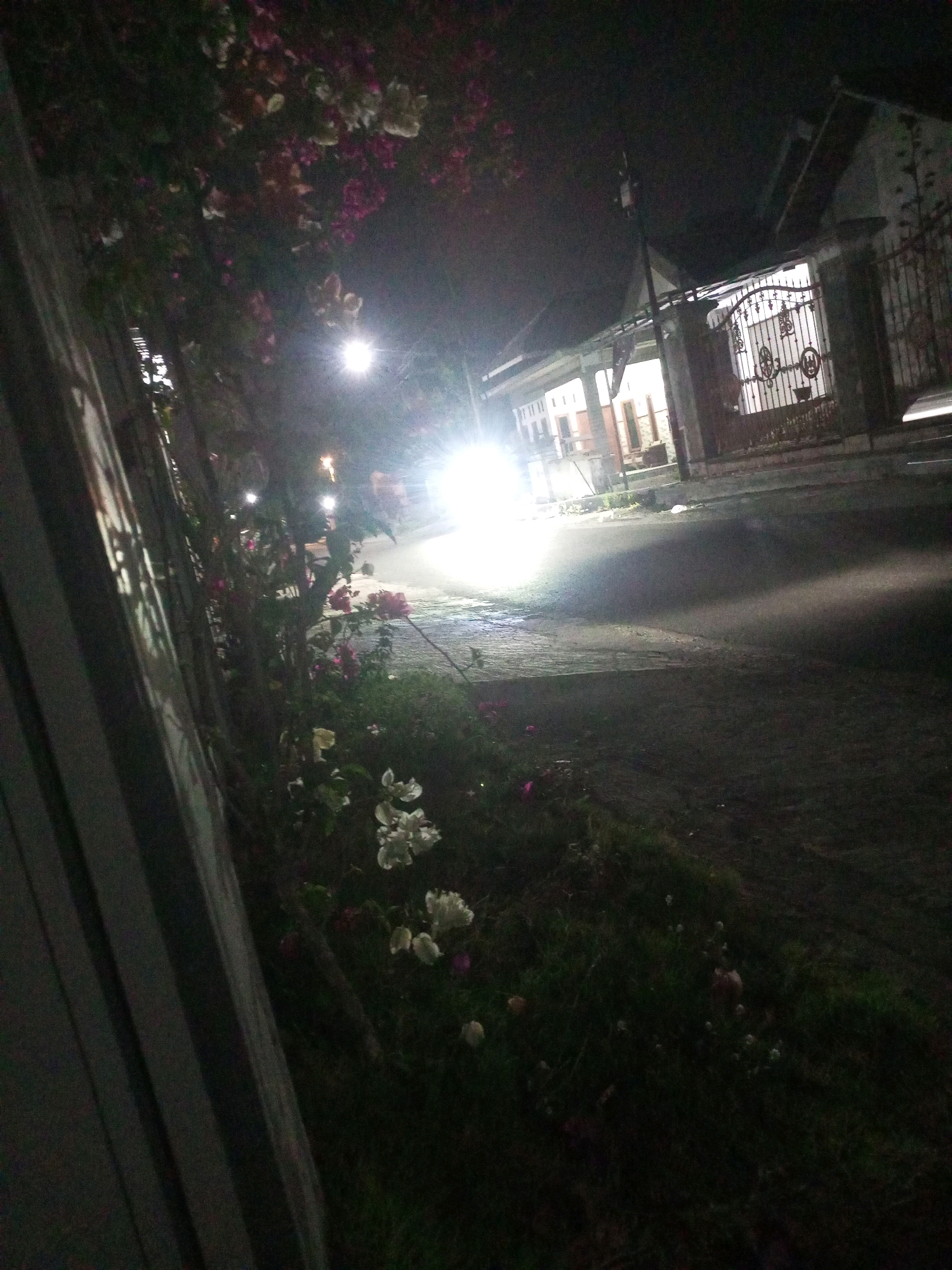 At night in Ngasem, Indonesia, a street is illuminated by a bright light source, casting long shadows. A gate with intricate metalwork, characteristic of Indonesian architecture, stands open, leading to a building with multiple windows. Adjacent to the street, a fence runs alongside a patch of vegetation, where bougainvillea flowers in shades of pink and white are in bloom. The scene suggests a residential area, with the street likely a public thoroughfare.