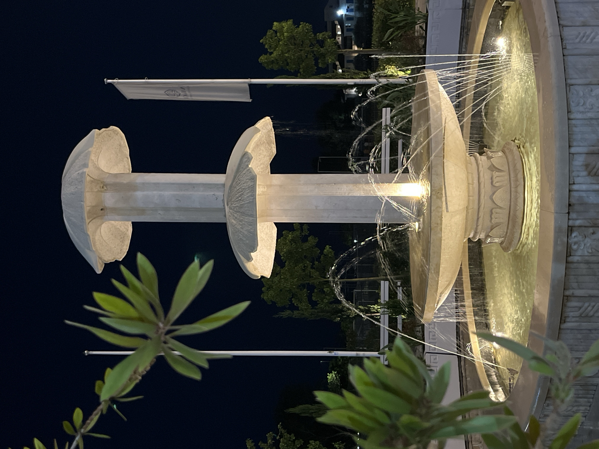 A three-tiered fountain is illuminated at night, with water spouting from multiple levels into the basin. The fountain structure is made of light-colored stone with decorative carvings at its base. In the foreground, out-of-focus green foliage is visible on the left side. Behind the fountain, two white flags are mounted on poles. In the background, there are trees and some distant buildings with lights. The sky is dark, indicating nighttime. The scene appears to be an outdoor public space, possibly a plaza or garden area within Budva, Montenegro. There are no people visible in the image.