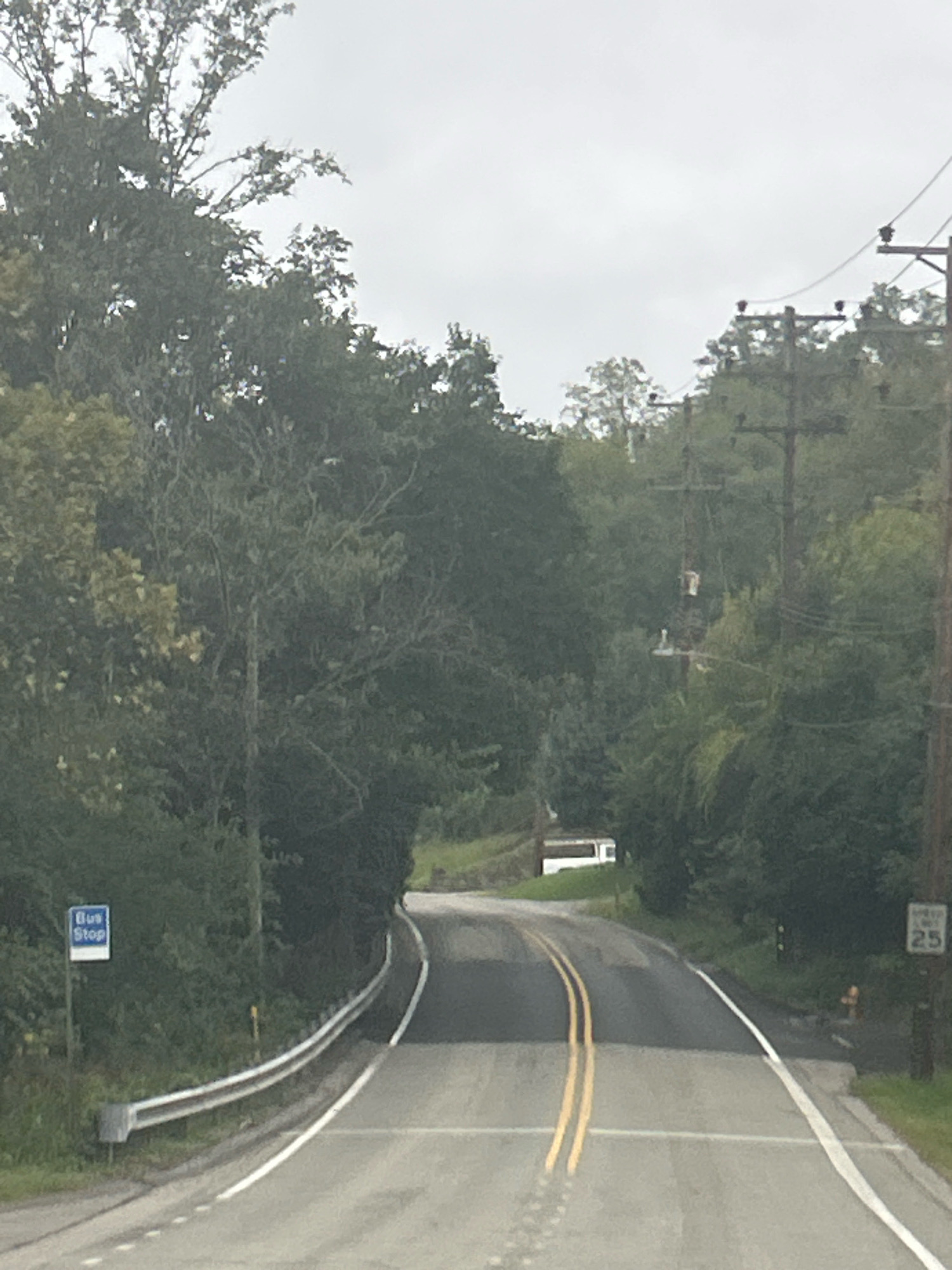 The image depicts a two-lane asphalt road winding through a wooded area, likely in Scott Township, USA, under an overcast sky. A guardrail runs along the left side of the road, adjacent to a dense line of trees and foliage. A blue sign with "Bus Stop" in white lettering is visible on the left side of the road. On the right side of the road, a wooden utility pole with electrical lines stands tall. Further down the road, another utility pole supports a speed limit sign indicating "25". A fire hydrant is also visible near this pole. In the distance, a white building with a dark roof is partially obscured by trees. The road itself has yellow double lines in the center and a white line along the right edge. The overall scene suggests a rural or semi-rural setting with typical road infrastructure and natural surroundings.