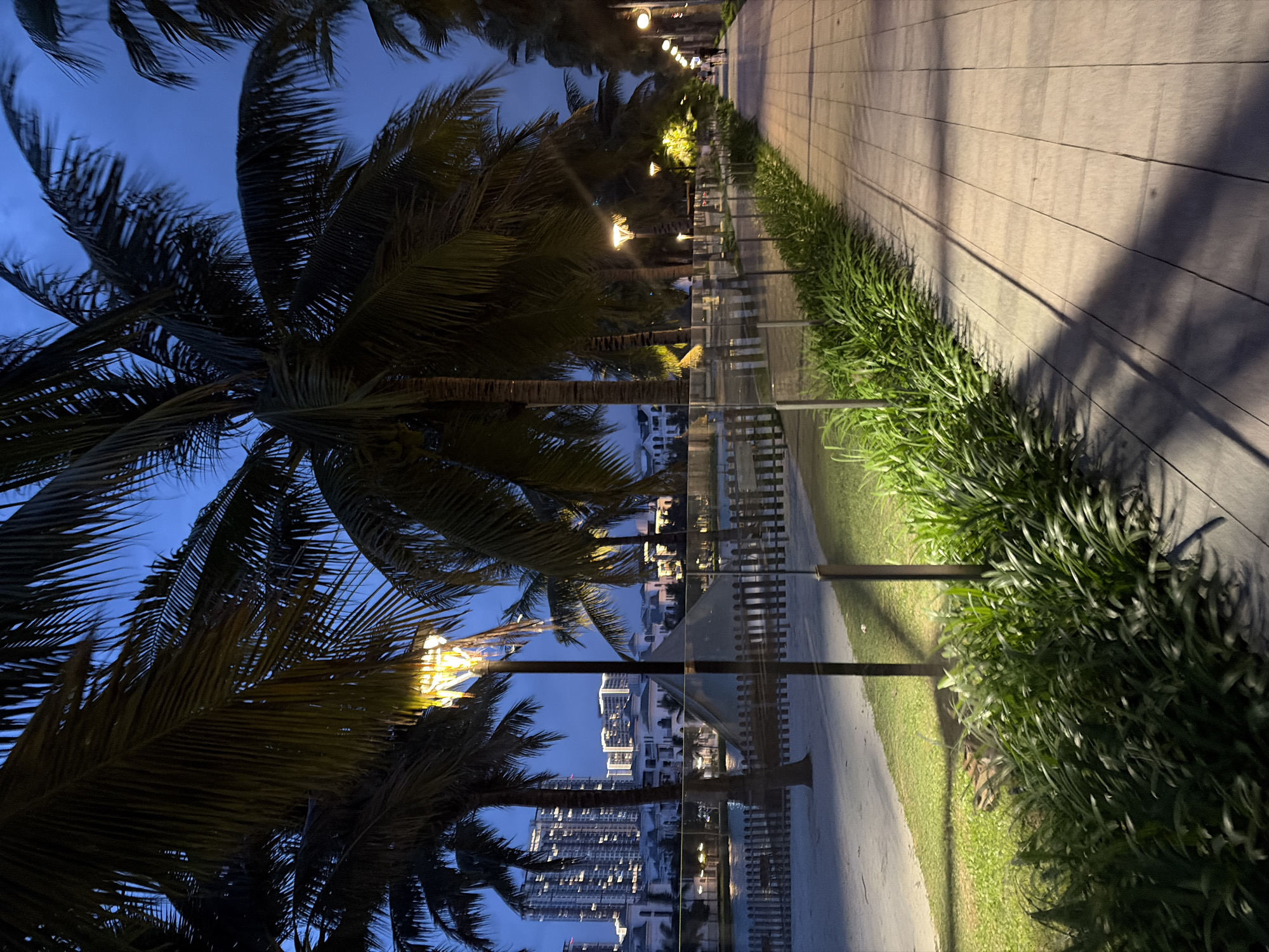 The image depicts an evening scene in a waterfront area, likely in Hà Nội, Vietnam, with palm trees lining a pathway. A paved walkway, made of light-colored rectangular tiles, extends into the distance and is illuminated by streetlights. To the left of the walkway is a strip of green grass and lush foliage. Beyond the grass, a wooden fence separates the pathway from a body of water. In the background, modern buildings, including high-rise apartments with illuminated windows, and low-rise white buildings are visible across the water. The sky is a deep twilight blue. Several people are walking along the pathway in the distance. The overall atmosphere is tranquil and well-lit, suggesting a public recreational space.