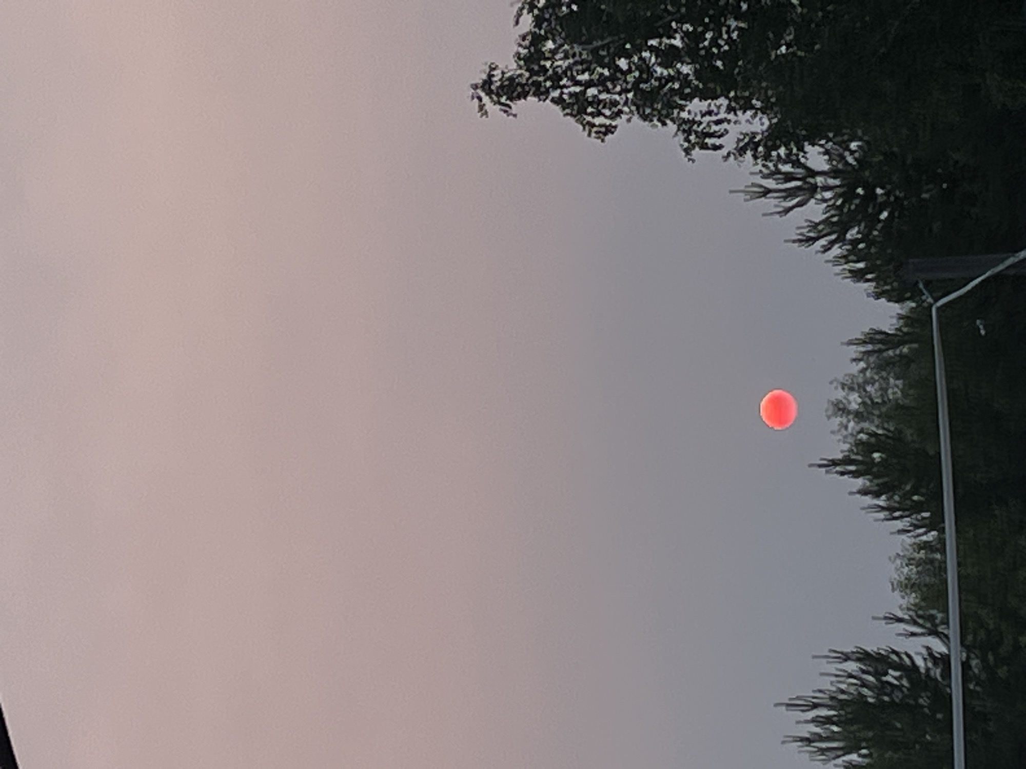 This media file depicts a view of the sky with trees and a faint, reddish-orange circular object that appears to be the moon or sun. The sky is a pale, hazy color, suggesting it could be dawn, dusk, or an overcast day. Dark green foliage from trees frames the right and top edges of the image. A thin, vertical pole or structure is also visible on the right side, partially obscured by the trees and foliage. The overall mood is serene and somewhat mysterious due to the unusual color of the celestial body. There is no visible text in the image. The setting appears to be outdoors, likely in a natural or semi-natural environment with vegetation.