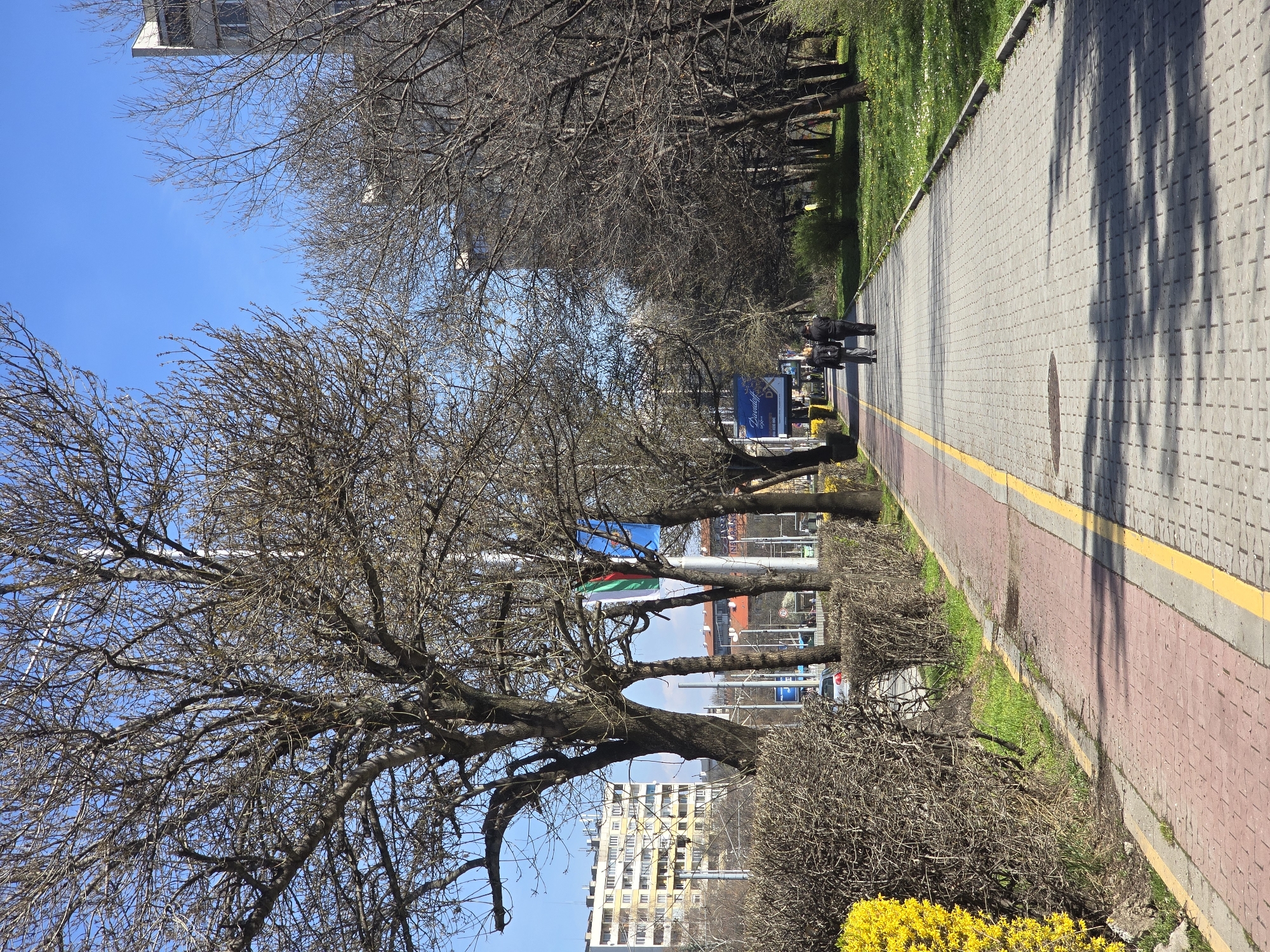 A public pedestrian walkway lined with trees and greenery in Sofia, Bulgaria, is visible on a bright, sunny day. Bare tree branches occupy much of the left side of the image, reaching toward a clear, blue sky. Along the walkway, two individuals walk, appearing as small figures in the distance. A street runs parallel to the path with a billboard and city buildings visible in the background, along with the green, white, and red flag of Bulgaria. In the foreground, bushes and a patch of yellow flowers line the pathway. The walkway is paved with grey and red brick and a yellow stripe separates the walking portion from the road. Shadows from the trees fall across the path. The image is oriented vertically.
