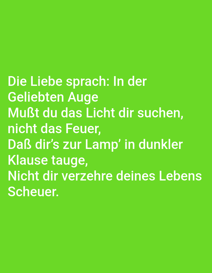 The image is a photograph of a green background with white text. The text is a poem written in German and reads: "Die Liebe sprach: In der Geliebten Auge Mußt du das Licht dir suchen, nicht das Feuer, Daß dir's zur Lamp' in dunkler Klause tauge, Nicht dir verzehre deines Lebens Scheuer." There is no indication of the city of Tallinn, Estonia, or any other geographical location in the image. The image does not depict any people, subjects, objects, or actions. The environment is simply a plain green background.