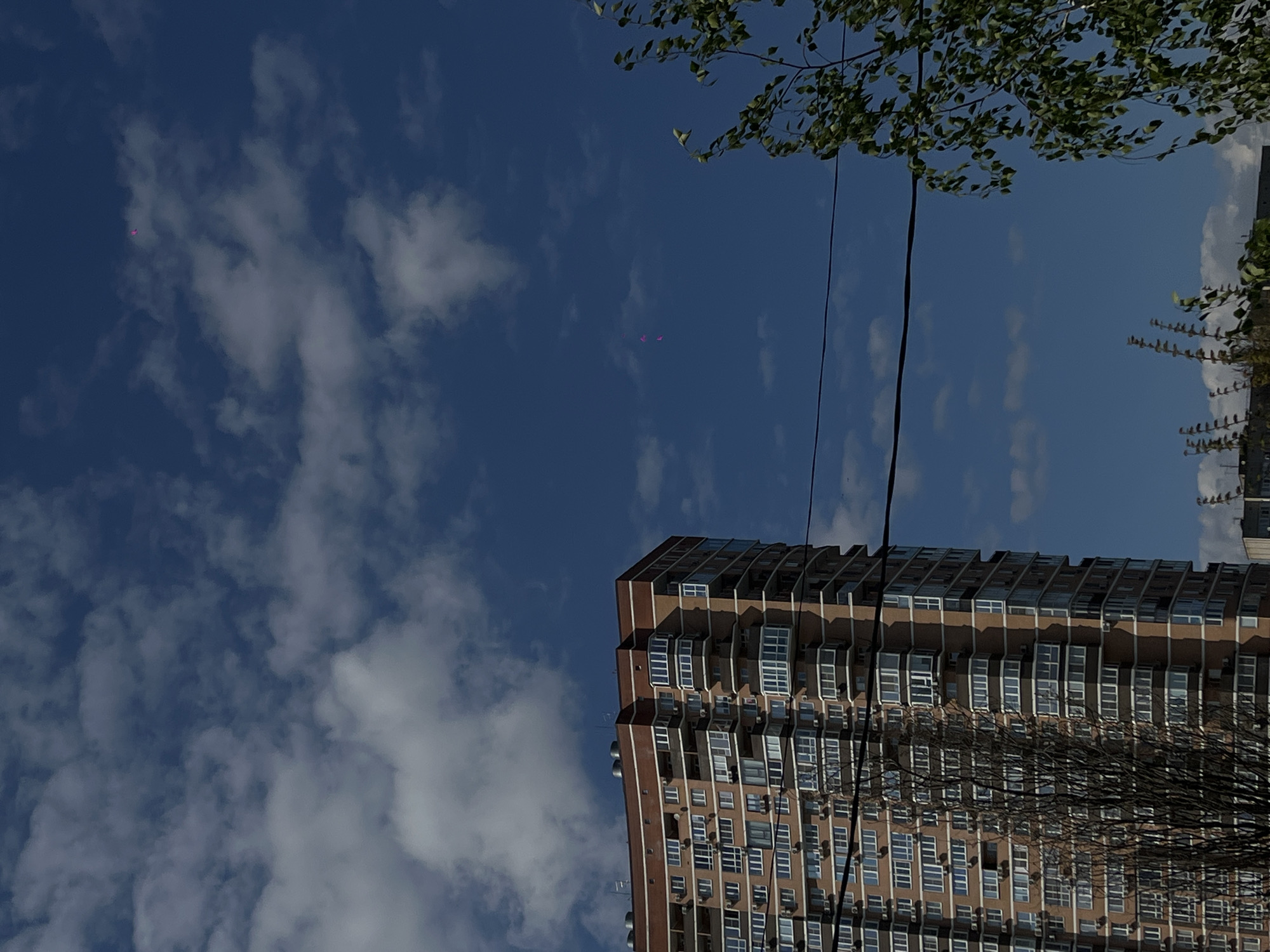 The image shows a tall residential building in Krasnodar, Russia, angled upwards. The building is several stories high with rows of windows and balconies. Utility wires run across the sky in front of the building. The sky is partly cloudy with blue patches. In the upper right and upper right-center of the frame are tree branches with green leaves. There is the faint color of magenta in the sky. The building’s architecture suggests it is a relatively modern apartment complex.