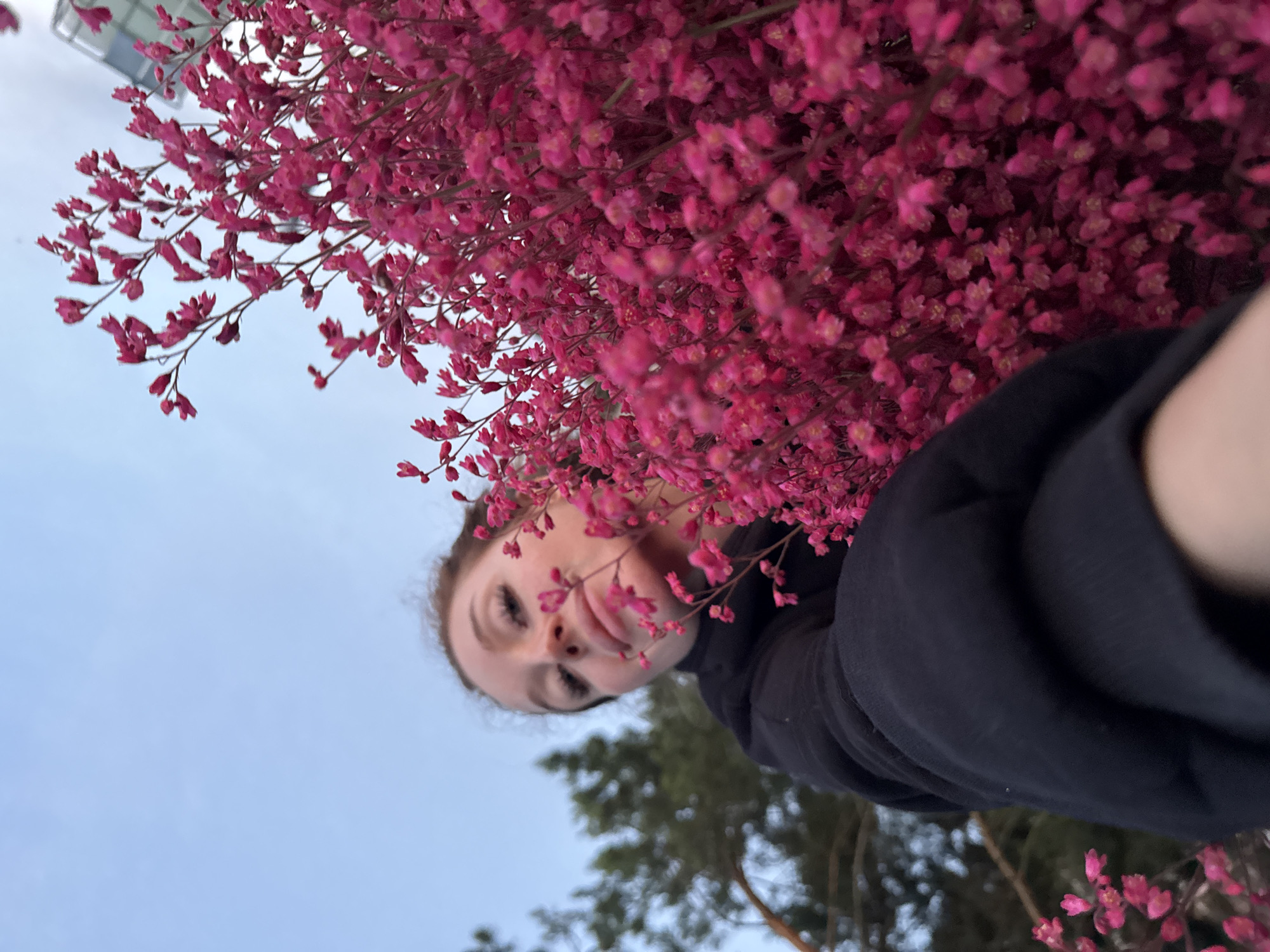 A low-angle, medium shot captures a young woman from the chest up, partially obscured by a cluster of vibrant pink flowers in the foreground. She is wearing a black hooded jacket. The woman is looking upwards, her face tilted towards the camera with her lips slightly parted. Her eyes are open, and her eyelashes are prominent. In the background, a clear blue sky is visible, with the suggestion of trees and possibly a building on the right edge of the frame. The image appears to have been taken outdoors, with natural light. The focus is on the woman and the flowers, with the background softly blurred. There is no indication of the specific location in Maksimovo, Russia.