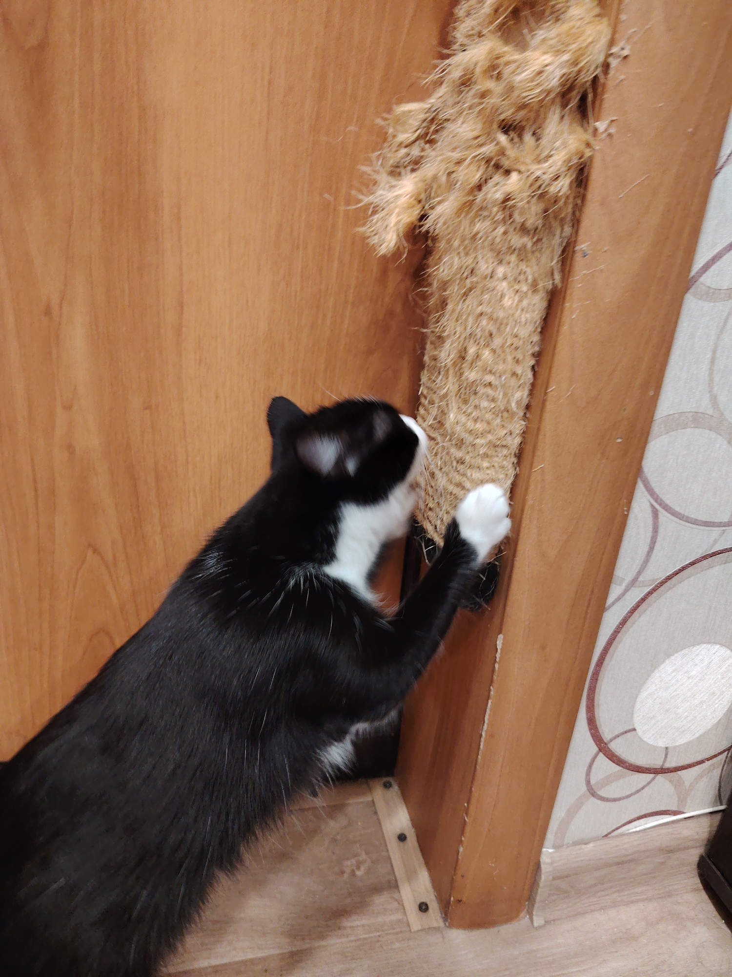 A black and white cat is scratching a sisal rope-wrapped post attached to a wooden doorframe. The cat's body is mostly black with white markings on its chest, face, and paws. Its right front paw is extended, with claws digging into the rope. The sisal rope is frayed and shows signs of wear. The doorframe is made of light brown wood and is attached to a wall with patterned wallpaper. The floor is a light wooden laminate.
