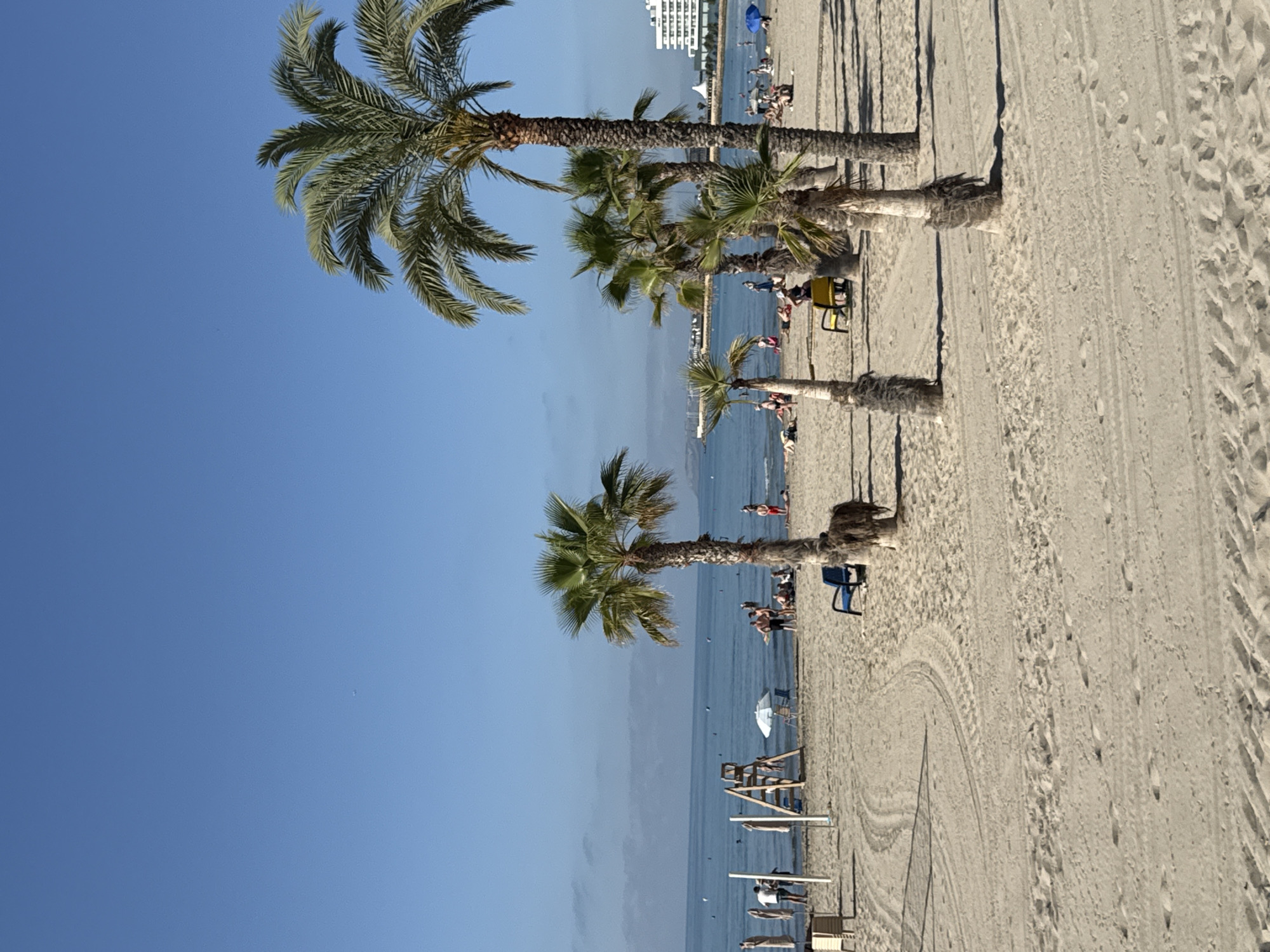 The image depicts a sunny day at a sandy beach. Several palm trees are scattered across the foreground and midground, casting shadows on the sand. In the background, the ocean is visible under a clear blue sky. The beach is populated with people, some of whom are sunbathing, walking, or standing near the water. Beach furniture, including lounge chairs and umbrellas, are also present. On the far right, a white building with multiple stories is visible, suggesting it's a resort or hotel. There's a lifeguard stand on the left side of the beach, with a few people near it. The sand has tire tracks, indicating vehicle activity.