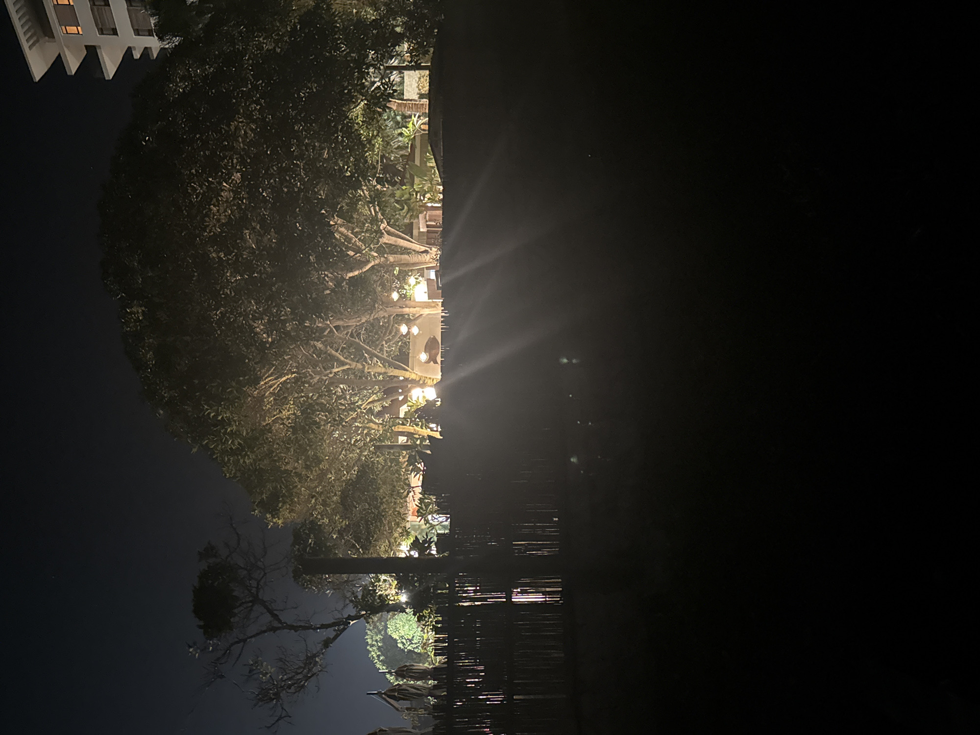The image depicts an outdoor scene at night, illuminated by artificial lighting. A dark, foreground area is dominated by a dense, dark silhouette of what appears to be a wooden fence or barrier. Beyond this barrier, trees with lush foliage are visible, their branches and leaves lit from below, casting a warm glow. Hanging lights are suspended from the trees, adding to the ambiance. In the background, a modern, multi-story building with illuminated windows is visible on the right side of the frame. The sky is dark, suggesting it is late at night. The overall impression is that of a resort or landscaped area at night. The location is identified as Parekklisia Community, Cyprus.