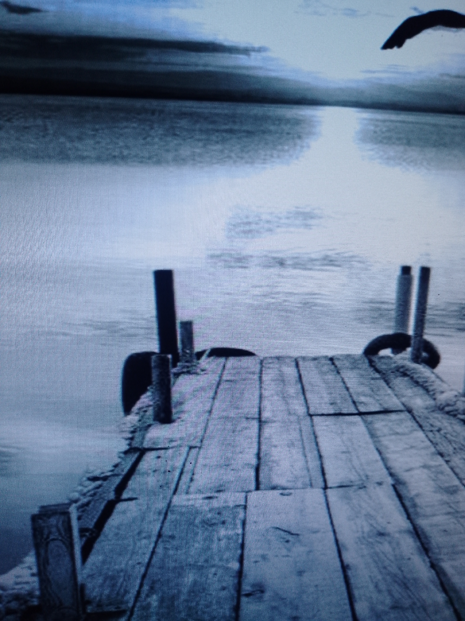 The image shows a weathered wooden dock extending into a body of water. The water reflects light, creating a bright path towards the horizon. In the distance, land is visible under a cloudy sky. The dock has support posts, old tires, and a rope attached. A dark shape, possibly a bird, is visible in the upper right corner of the image.
