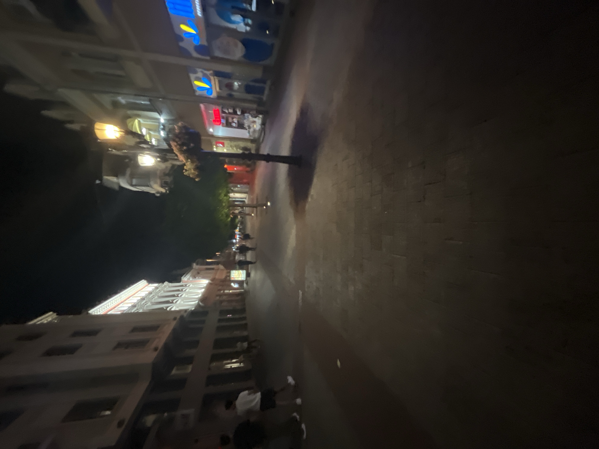This image depicts a pedestrian street at night in Plovdiv, Bulgaria, specifically resembling Knyaz Alexander I Street or a similar central thoroughfare. The scene is illuminated by artificial light sources, casting shadows on the paved street surface, which consists of rectangular pavers.
Multi-story buildings with classic architectural details line both sides of the street. On the left, a prominent building features an ornate white facade with vertical decorative elements, brightly lit on its upper stories. On the right, buildings house ground-floor retail stores, indicated by illuminated signage; one sign displays blue and yellow motifs, another is predominantly red. A traditional-style streetlight with a warm glow is visible on the right, adorned with a hanging planter. Trees are planted along the street in the mid-ground.
Several individuals are present. In the left foreground, two males walk away from the camera; one wears a dark t-shirt and shorts, the other a white t-shirt and dark shorts. Further down the street, additional indistinct figures are visible walking in various directions. The overall ambiance suggests a quiet evening in an urban setting.