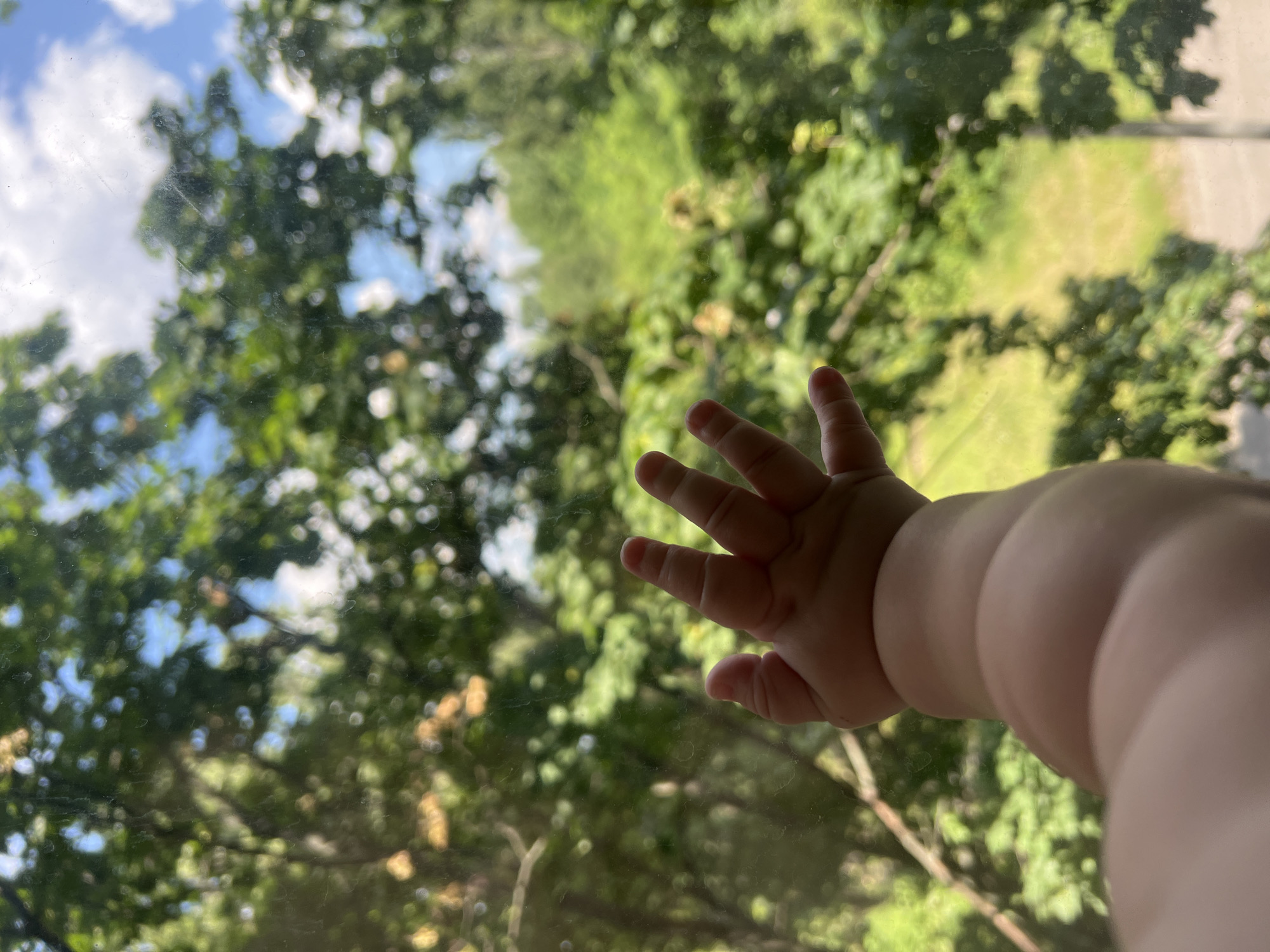A baby's hand reaches out towards a window with a lush green forest visible outside, under a blue sky with scattered clouds. The baby's arm and hand are in focus, while the background appears slightly blurred due to the glass. The scene is set outdoors, with the natural light filtering through the trees and the window. The image depicts a moment of curiosity and exploration by the child.