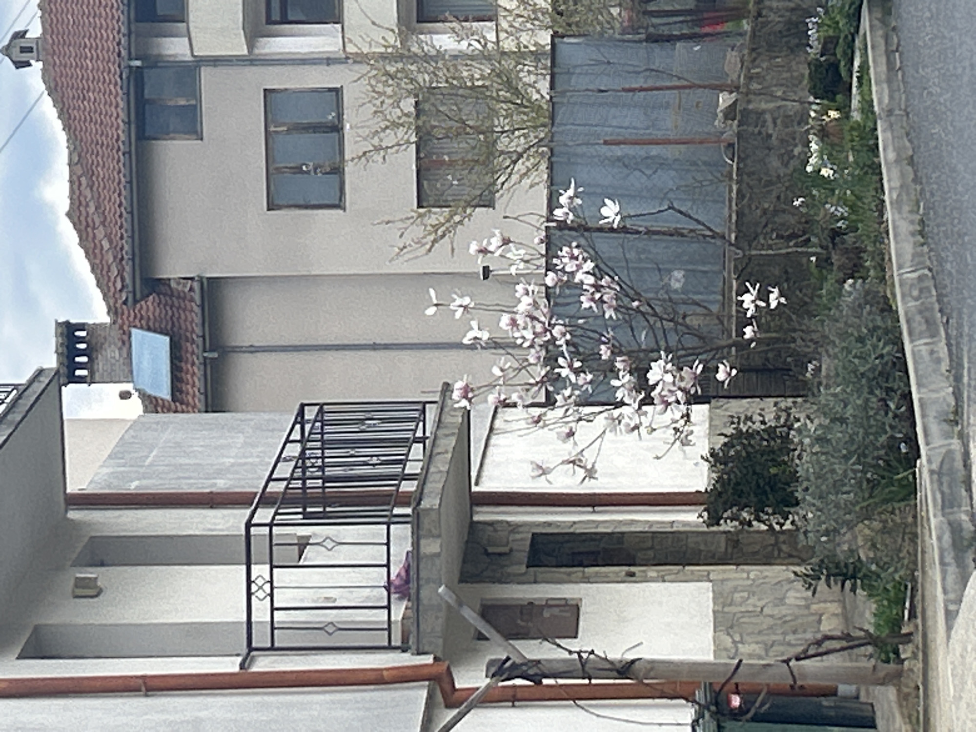 The image depicts a street scene in Zlatograd, Bulgaria, featuring several buildings. A multi-story building with a red-tiled roof is visible on the left. Another building with a gray exterior has multiple windows. A tree with white blossoms is in the foreground, obscuring part of the scene. A black metal railing is present on a balcony of one of the buildings. Various plants and greenery are visible along the street, and a sidewalk is on the right side. Utility poles and wires are also noticeable.
