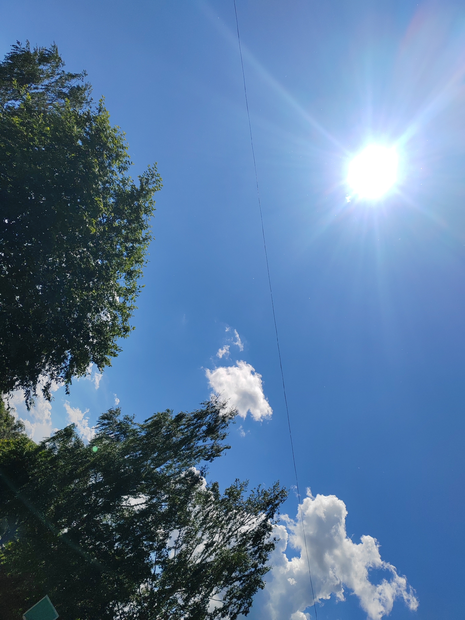 A low-angle shot in Unknown, Unknown, under a clear, blue sky with scattered cumulus clouds. The sun shines brightly at the top right, with a strong glare. Trees are visible on the left, partially obscuring the sky. A thin, dark cable runs vertically through the middle of the frame.