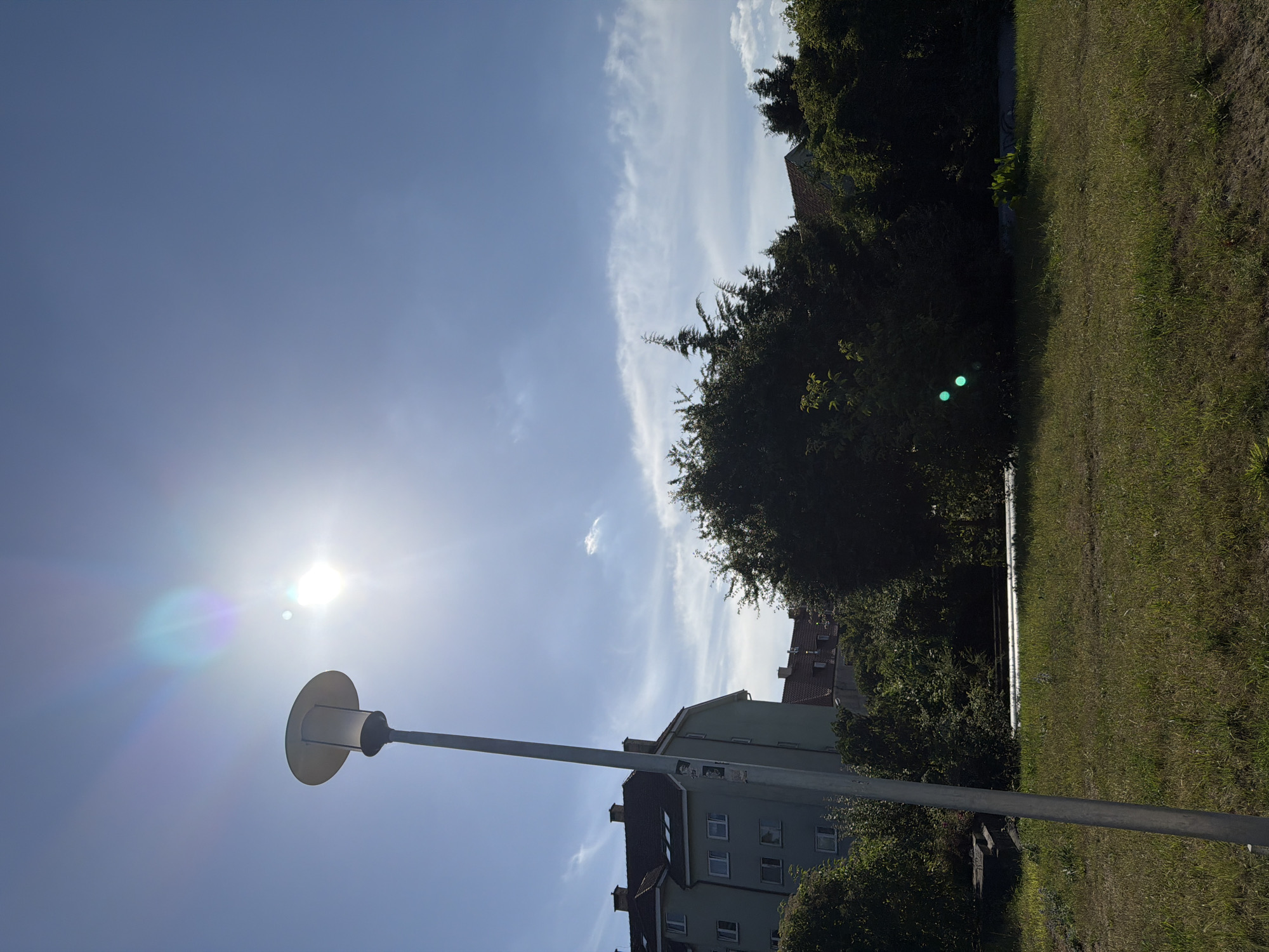 This is a daytime, eye-level, medium shot photograph taken outdoors in a city setting, likely Szczecin, Poland, given the architectural style of the buildings and the species of trees. The scene features a street lamp in the foreground on the left, a grassy lawn, dense green trees and bushes, and apartment buildings in the background. The sun is high in the bright blue sky, causing lens flare and creating a bright halo effect. There are some wispy clouds scattered across the sky. The apartment buildings appear to be residential, with multiple windows and red tiled roofs. The overall atmosphere is that of a sunny day in an urban residential area. There are no people or animals visible in the image.