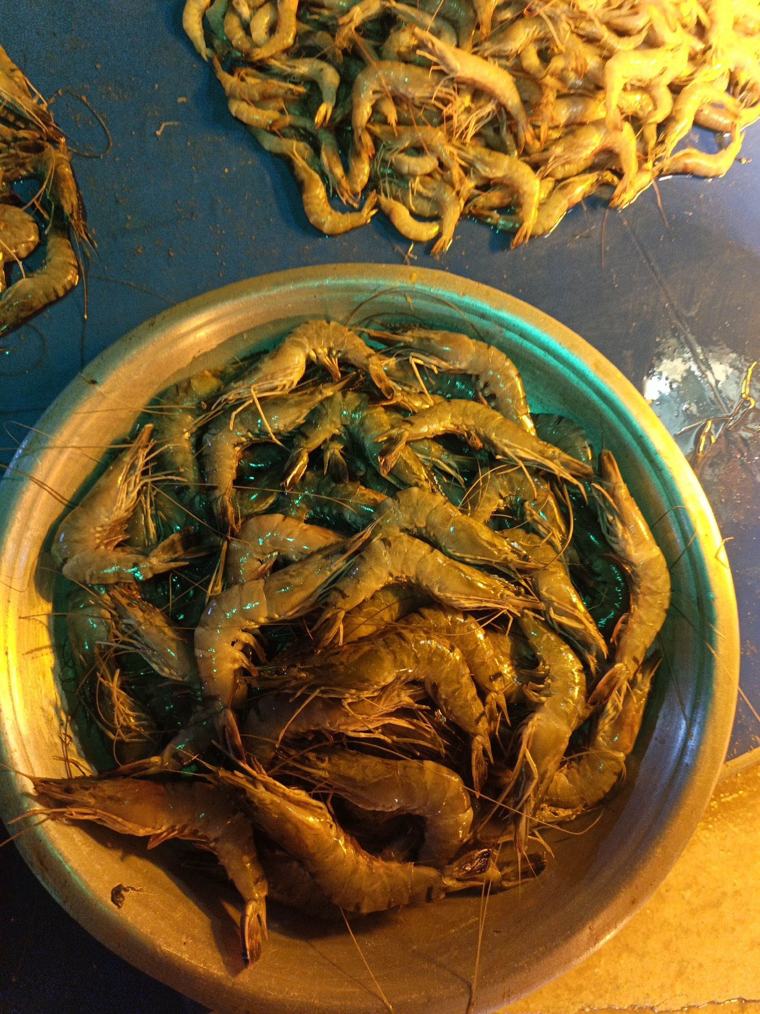 The image shows a large quantity of fresh shrimp, some in a metal bowl and others on a blue surface, likely a market stall. The lighting suggests it is either night or a dimly lit indoor setting, with artificial lights casting a warm glow. The shrimp appear to be raw and are piled high, with many of them overlapping. The bowl is shallow and wide, with a metallic sheen. The blue surface is textured and appears damp. There are no people visible in the image. The scene is indicative of a seafood market, potentially in Dhaka, Bangladesh, where such markets are common and often operate late into the night.