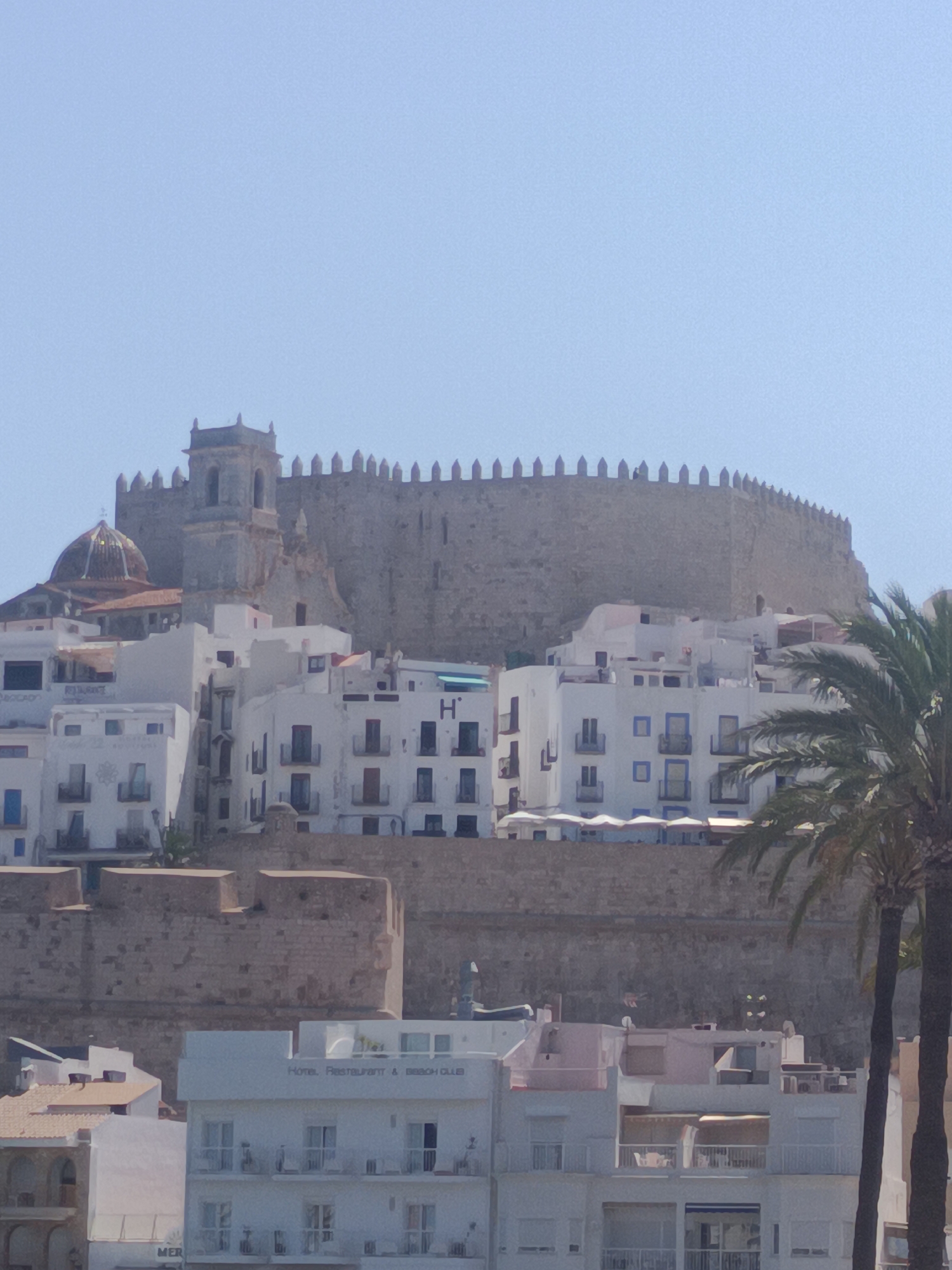 The image displays the city of Peníscola, Spain, focusing on its historic castle and the surrounding whitewashed buildings cascading down the hillside. The castle, a prominent structure with battlements and a tower, sits atop a rocky outcrop. Below the castle, numerous white buildings with blue-trimmed windows and balconies are densely packed, characteristic of Mediterranean architecture. A dome-shaped structure, likely part of a church, is visible to the left of the castle tower. Palm trees frame the right side of the image, suggesting a coastal location. The sky is clear and pale blue. The scene appears to be captured during daylight hours, with the sun casting subtle shadows. There are no people clearly visible in the image. The overall impression is one of a picturesque and historic coastal town.
