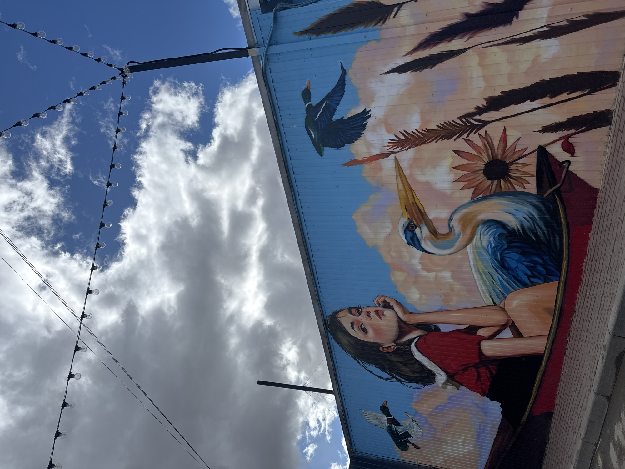 The image shows a mural on the side of a building, with the sky visible above. The mural depicts a woman reclining next to a large blue heron, with two ducks flying above and below them. A sunflower and some feathers are also painted in the background. String lights hang in the sky in the foreground.
The image does not provide enough information to identify the exact location within Osa, Russia.
