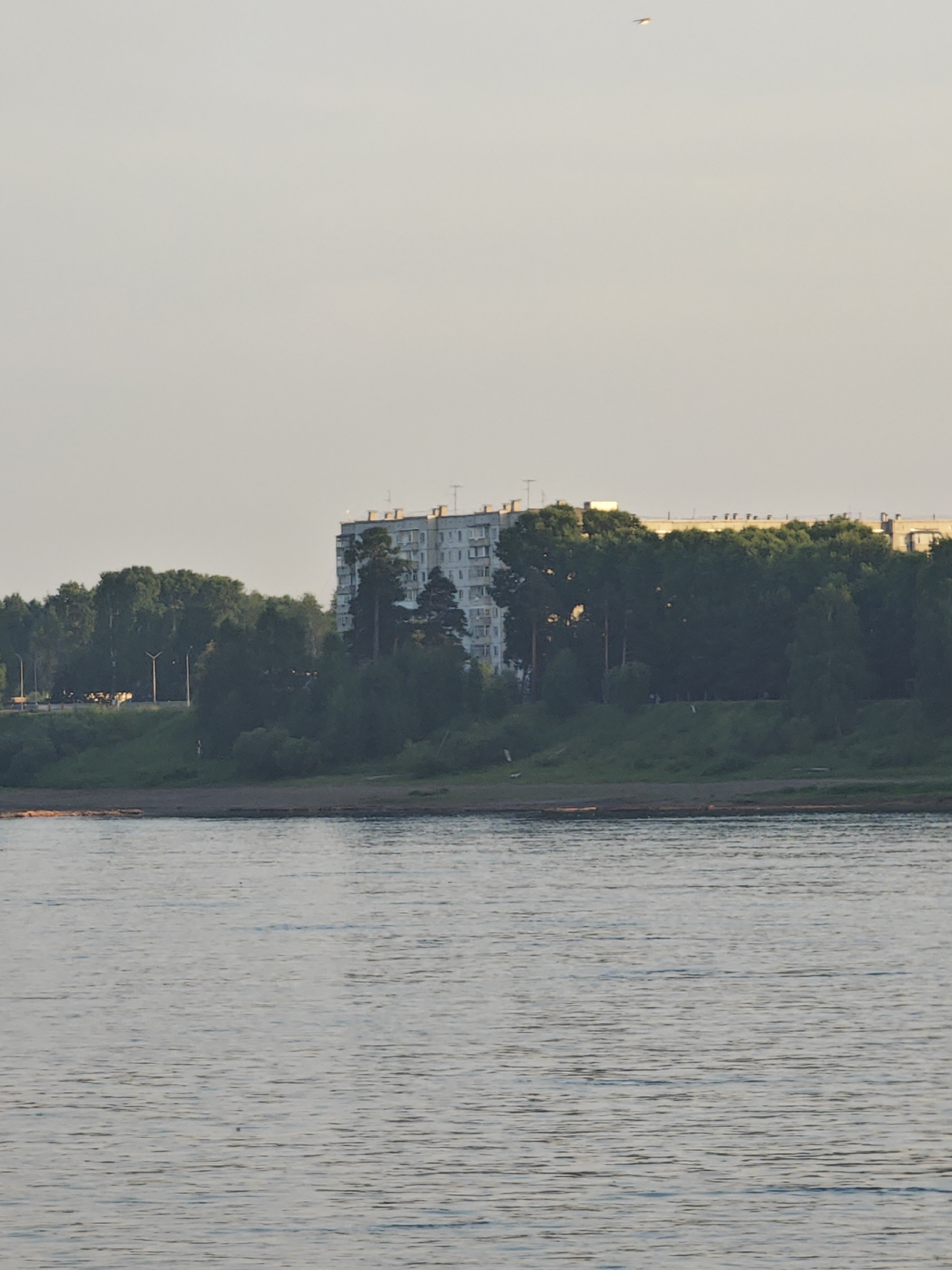 The image shows a wide river in the foreground, with calm, rippling water reflecting the pale sky. The riverbank on the far side is lined with a dense growth of dark green trees, interspersed with taller pine trees. Behind the trees, a multi-story, light-colored apartment building with a long, horizontal structure is visible. The building has numerous windows and appears to be in the city of Lesosibirsk, Russia. The sky is overcast and a light, hazy color, with a faint, distant object, possibly an airplane, visible in the upper portion of the frame. The overall impression is of a natural landscape bordering an urban residential area.