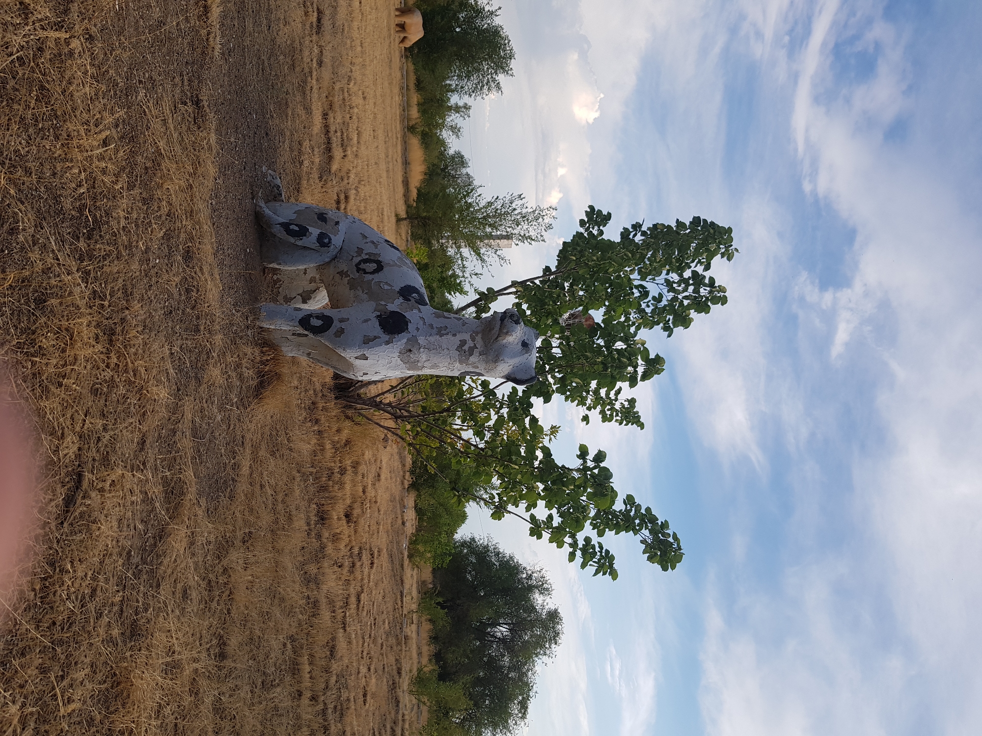 In Kurchatov, Kazakhstan, a concrete sculpture of a dalmatian dog sits on dry, golden grass. The dog sculpture is white with black spots and appears weathered. A small, green tree with sparse leaves is positioned behind and slightly to the left of the dog. The background features more trees, dry vegetation, and a cloudy blue sky. In the distance, to the left of the dalmatian, a light-colored animal, possibly a bear or a large dog, is visible in the field. The overall scene suggests an outdoor, possibly park-like or rural setting.