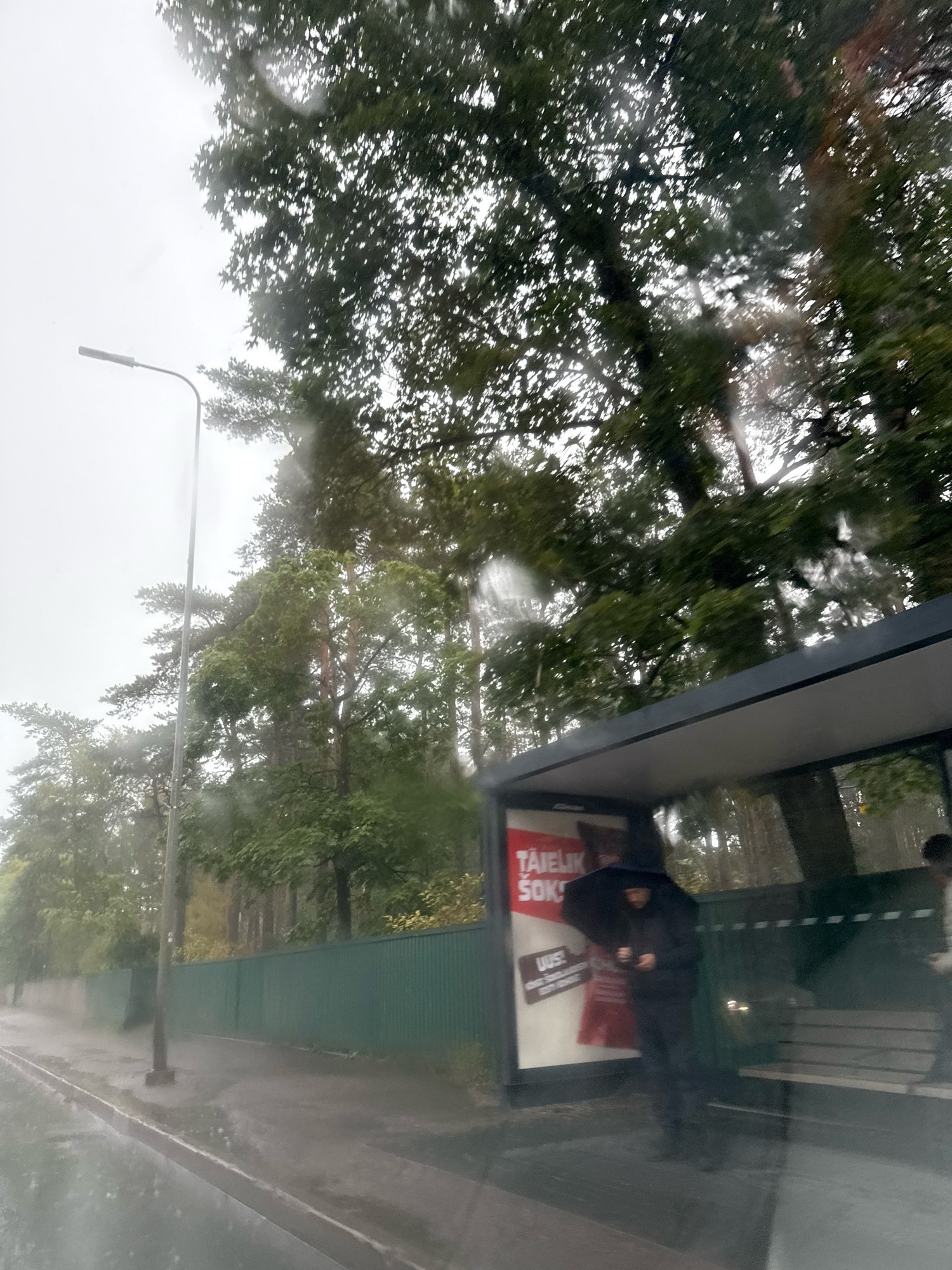 The image depicts a street scene in Tallinn, Estonia, on a rainy day. A person is standing under a bus stop shelter, holding a black umbrella and looking down at their phone. The bus stop features a bench and a large advertisement poster with red and white text, including the word "TÄIELIK". The shelter has a dark grey roof and a dark grey frame. To the left of the bus stop, a sidewalk is visible, with a green metal fence running along its edge. Beyond the fence, trees with green foliage are present. A tall, dark street lamp is also visible to the left of the bus stop. The ground and sidewalk appear wet, indicating recent or ongoing rainfall. The overall atmosphere is overcast and subdued due to the weather.