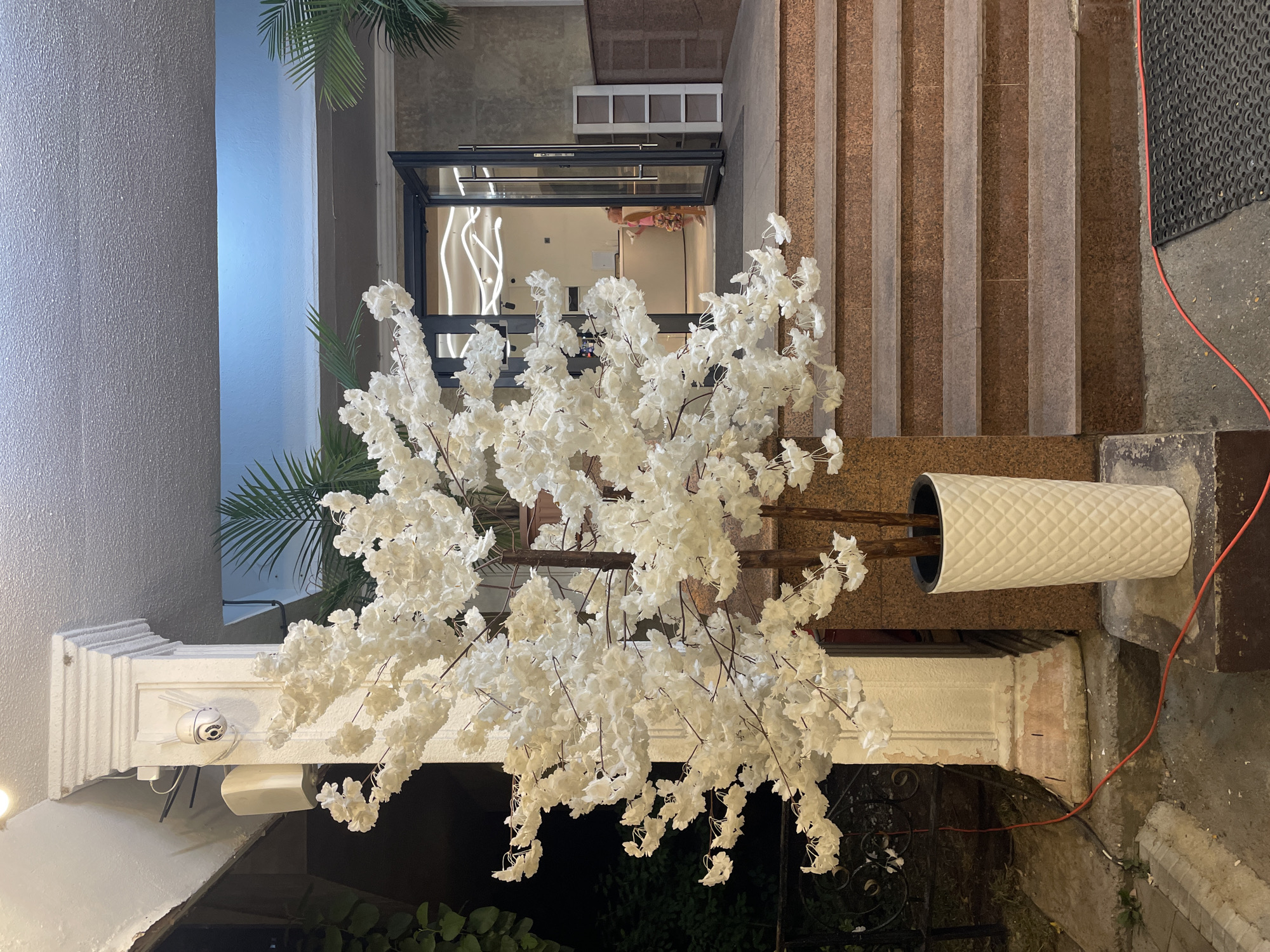A nighttime exterior shot captures the entrance of a building in Almaty, Kazakhstan, adorned with a large, artificial white cherry blossom tree. The tree is planted in a white, textured pot situated on a grey stone ledge. Red electrical cords snake across the ground and up towards the building's entrance.
The entrance itself features a set of double glass doors, one of which is ajar, revealing a brightly lit interior. Inside, a young girl with blonde hair, wearing a pink top and patterned shorts, stands near a counter. The interior is decorated with modern, wavy light fixtures.
To the left of the entrance, a white architectural column stands prominently, equipped with a white security camera and an attached white speaker. Green foliage is visible to the left of the column.
To the right of the entrance, a set of brown, textured stairs leads up to the doorway. A white, narrow shelving unit is positioned to the right of the stairs, near the entrance. Palm fronds are visible in the background, framing the upper portion of the entrance area. The overall scene suggests a well-maintained entryway, possibly for a hotel or business.