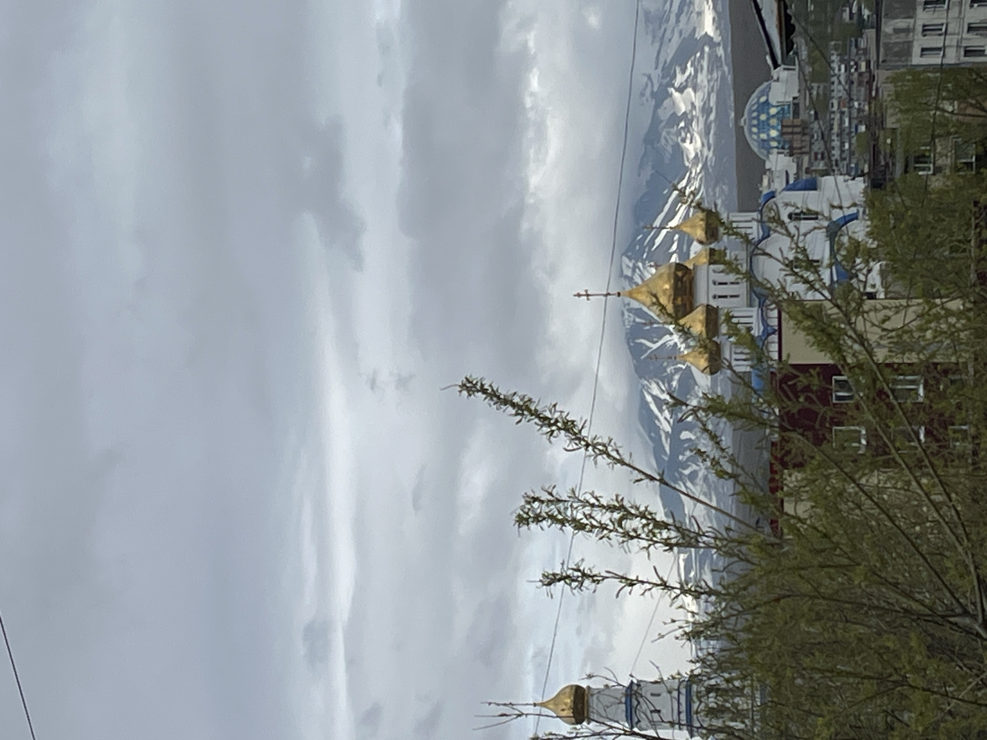 This is a vertical, medium shot photograph of a city skyline under an overcast sky, with a mountain range in the background. In the foreground, to the left, a portion of a white and blue church tower with a golden dome is visible, partially obscured by the branches of a leafy green tree. In the middle ground, several golden domes of another church are prominent, with a blue glass dome structure behind it and other city buildings. The background features a large, snow-capped mountain range under a cloudy sky. The scene appears to be set in Petropavlovsk-Kamchatsky, Russia, given the distinctive architecture of the churches and the presence of the snow-capped mountains, which are characteristic of the Kamchatka Peninsula. The overall impression is one of a cloudy, possibly cool day in a visually striking urban and natural landscape.