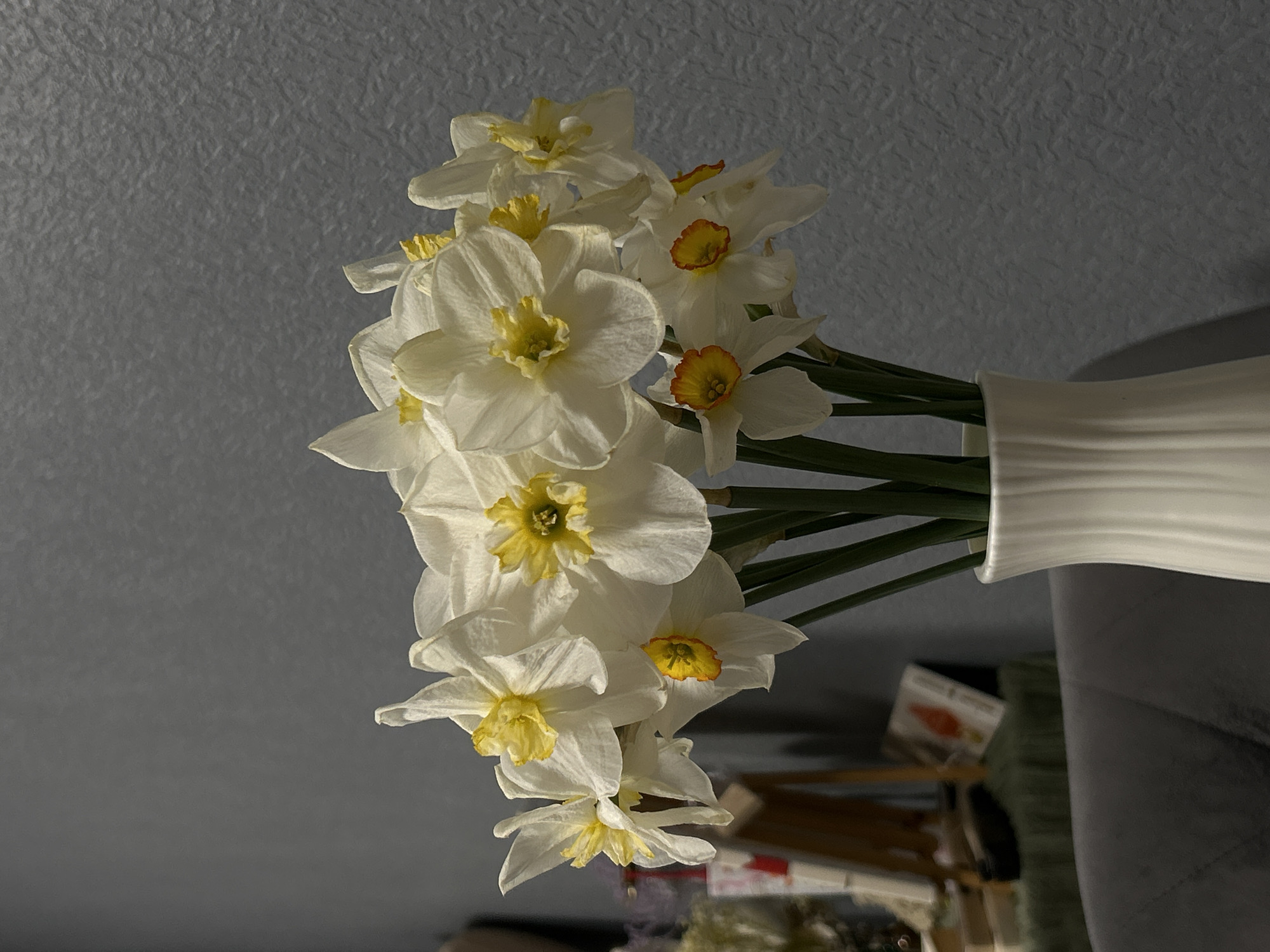 A vase of white daffodils with yellow centers is positioned on a surface against a gray wall. The vase is white with a ridged texture. The background shows blurred elements suggesting an indoor environment. There is no indication of the location being Saint Petersburg, Russia, or any people present in the scene.