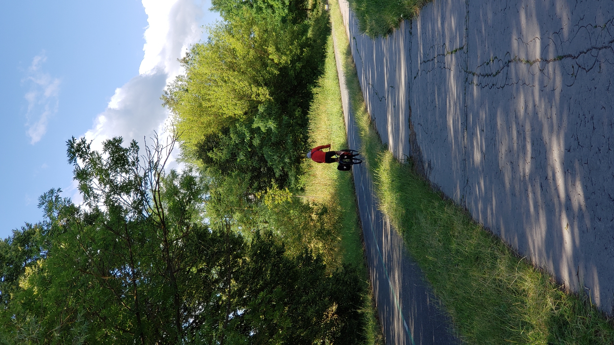 A lone cyclist wearing a red jacket rides on a paved path next to a road lined with trees and green grass. The path is cracked in places and casts dappled shadows from the sunlight filtering through the trees. In the background, a dense line of trees with vibrant green foliage separates the path from a bright blue sky with scattered white clouds. The scene is tranquil, suggesting a peaceful ride through a natural, well-maintained area. This photo was taken on the cycling path near the Solivar salt mines in Prešov, Slovakia.