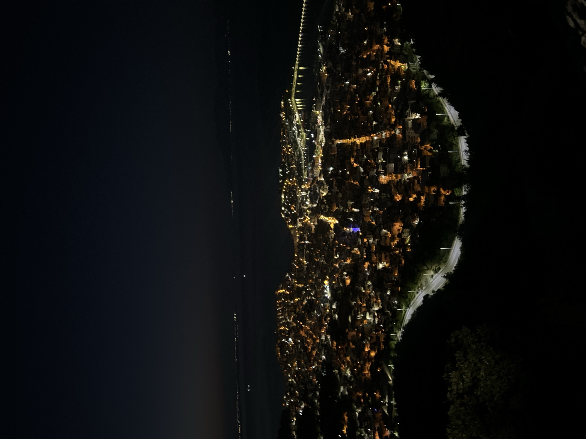 An aerial, long-shot, high-angle photograph captures a city at night, illuminated by streetlights and building lights. The city sprawls across a hillside and extends to the coast, where a body of water is visible, dotted with distant lights. A pier or breakwater extends into the water, also lined with lights. The foreground features a dark, tree-covered hillside with a winding road illuminated by streetlights. The sky is dark and clear, with no visible celestial bodies. The overall impression is a vibrant, sprawling urban landscape under the cloak of night.