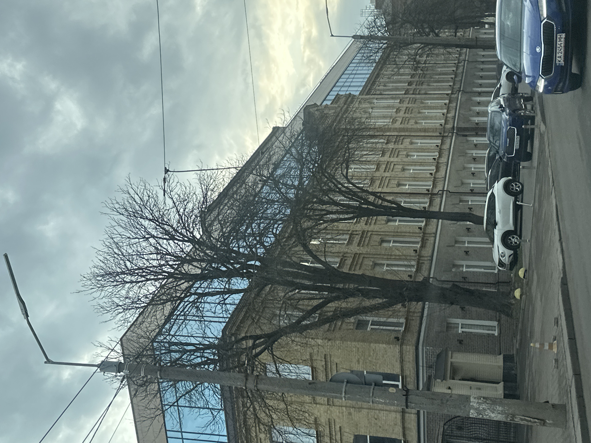 The image shows a street scene in Kyiv, Ukraine. A multi-story building with both brick facade and glass panel sections occupies the center of the frame. Bare trees stand in front of the building, partially obscuring its details. Several parked cars are visible along the right edge of the frame, including a blue Skoda Octavia with license plate KA 2434 MH. A street light pole stands on the left side. The sky is overcast.