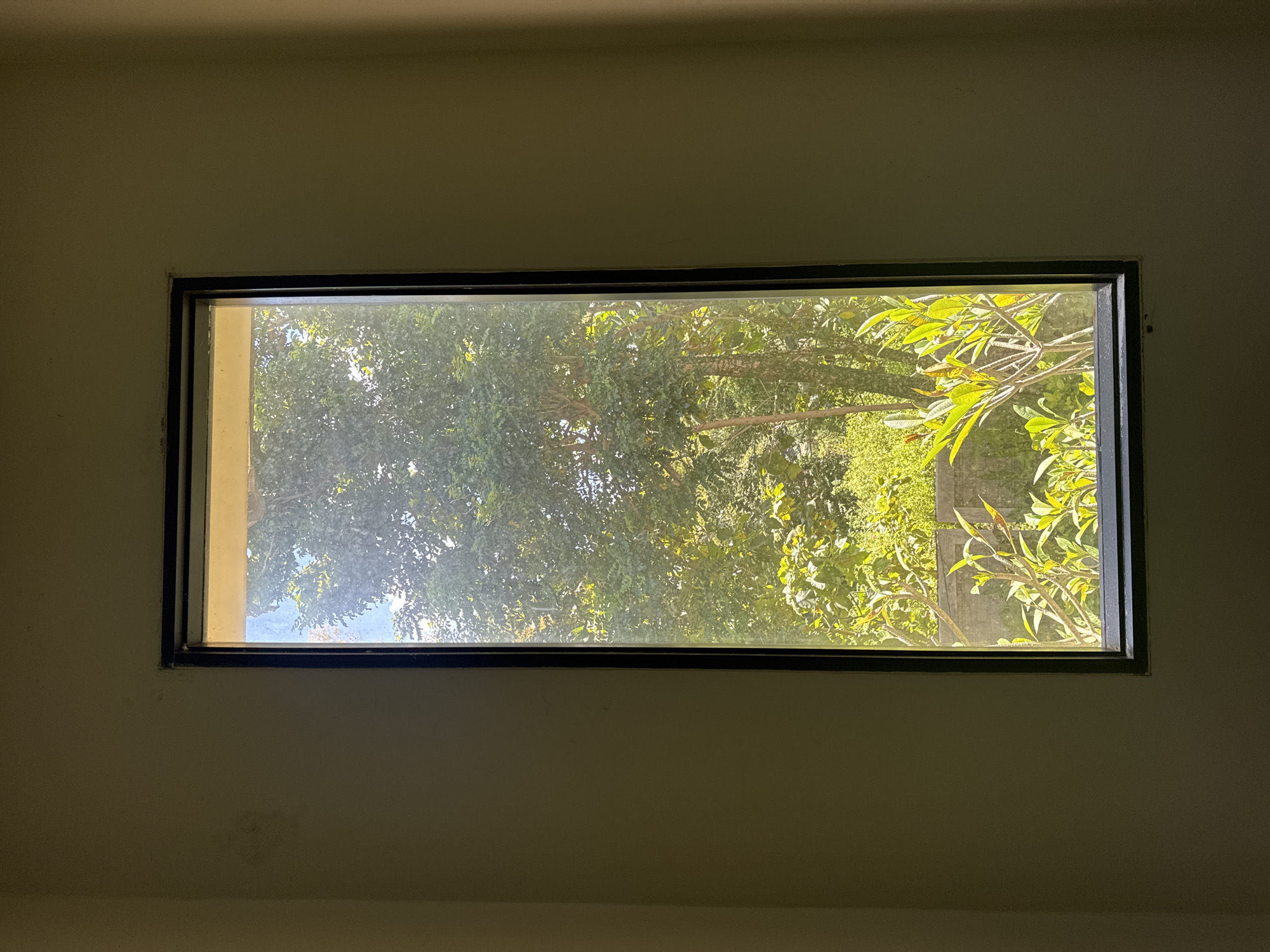 A rectangular window with a black frame is centered in a dimly lit, off-white wall. Outside the window, there's a view of trees and foliage bathed in sunlight. The location is Kuta Selatan, Indonesia.