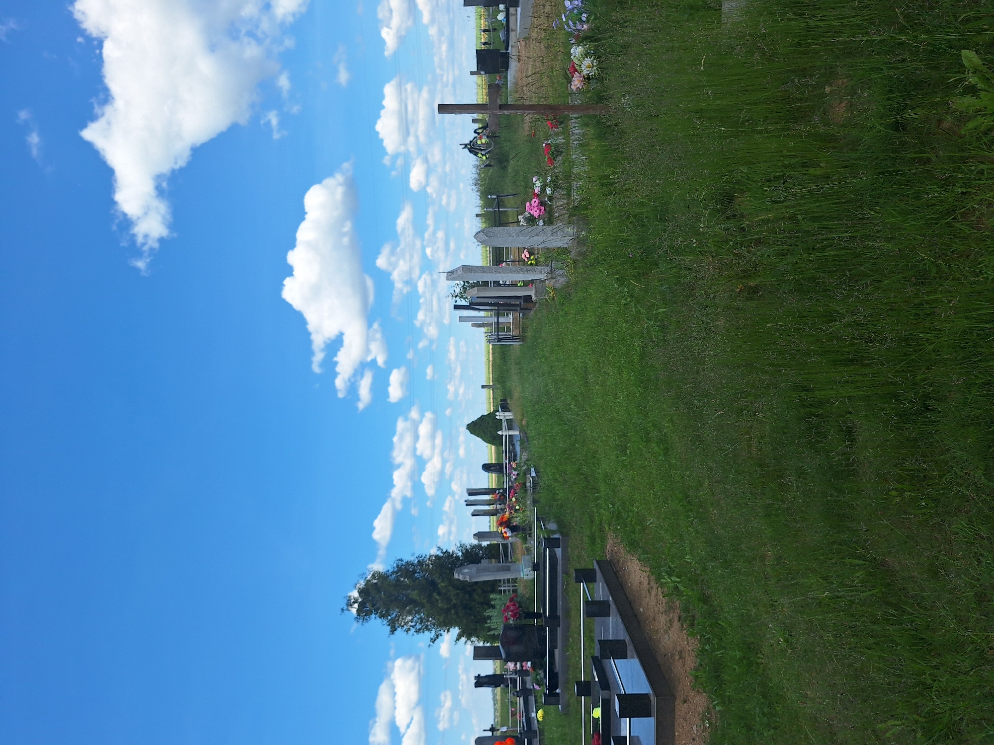 The image captures a cemetery on a clear, sunny day with scattered white clouds in a bright blue sky. The cemetery is characterized by rows of gravestones and monuments, predominantly made of dark stone, some with polished surfaces reflecting the sky. Many of these markers have floral arrangements, with bouquets of red, pink, white, and yellow flowers placed on or near them. The ground is covered in lush green grass, with some areas appearing longer and unkempt, suggesting it is a natural landscape rather than a meticulously maintained garden. In the background, a tall evergreen tree stands prominently, and beyond that, a flat, open landscape with distant power lines is visible. The overall scene is peaceful and serene, typical of a cemetery setting.