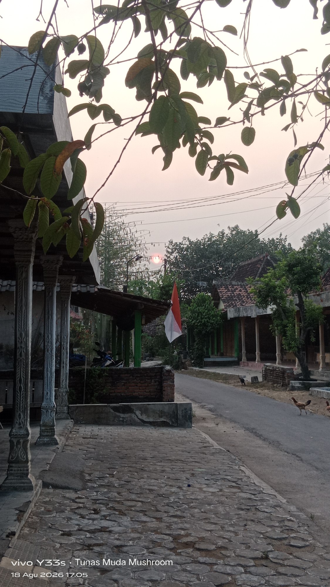 The image captures a street scene at dusk in Tanjung, Indonesia. In the foreground, a paved walkway leads towards a street lined with traditional Indonesian houses. The houses have pitched tile roofs and are supported by columns. A Indonesian flag, red and white, is prominently displayed on a pole attached to one of the buildings. The sun is setting, casting a warm glow over the sky, and its rays are visible through the trees. Several chickens are present on the street, foraging. The overall atmosphere is serene and rural.