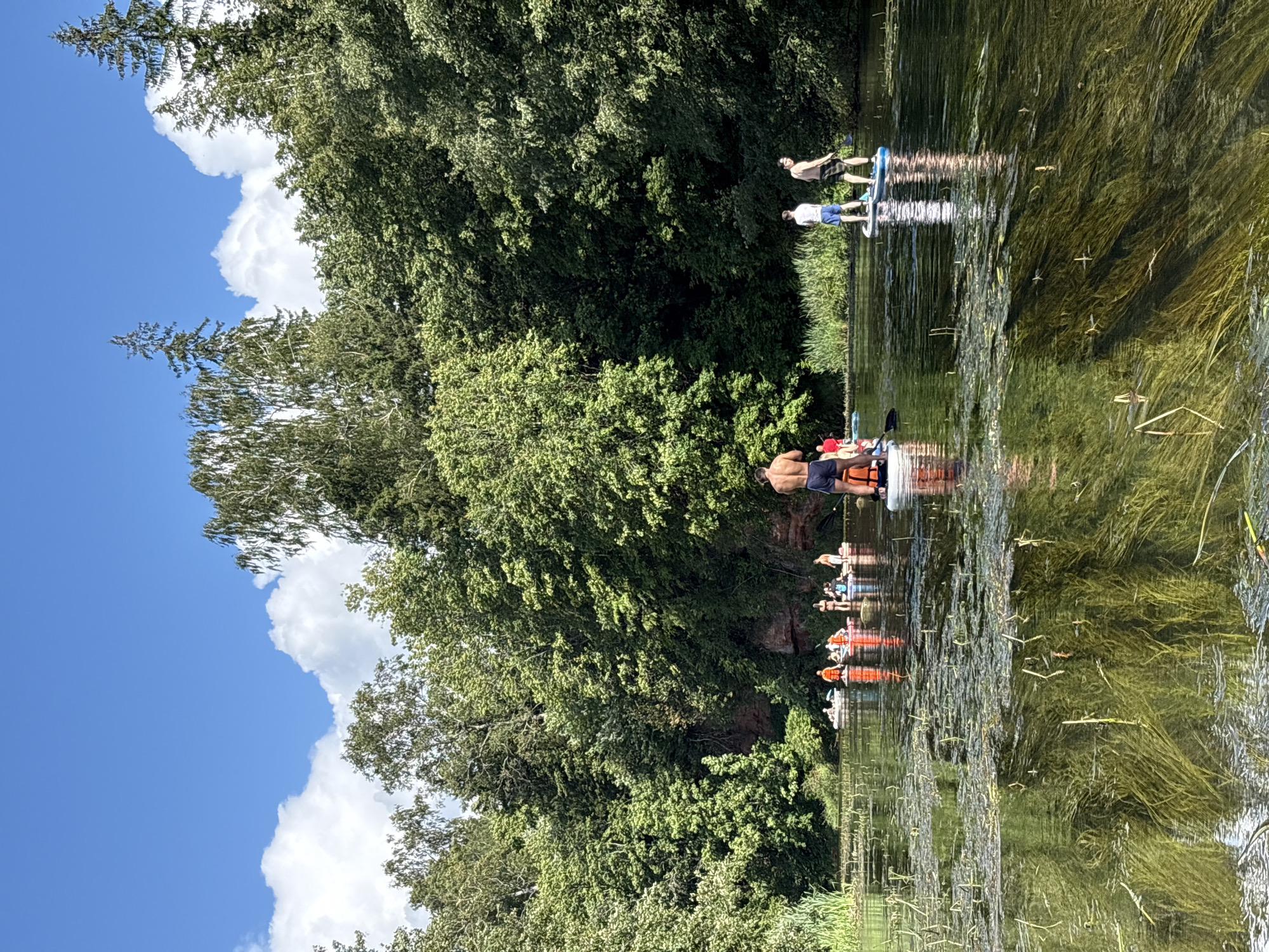 In this photograph, taken on a sunny day, a group of people are paddleboarding on a calm river. The river is surrounded by lush green trees and foliage, with a red rock formation visible on the left bank. The sky is blue with scattered white clouds. In the foreground, the water is clear and shows submerged aquatic plants. Several individuals are standing on paddleboards, some with paddles in hand. One person in the foreground is facing away from the camera, wearing blue shorts and an orange life vest. In the middle ground, a cluster of paddleboarders are gathered, some wearing orange life vests. Further in the background, more people on paddleboards are visible. The scene suggests a recreational outing on the river.
