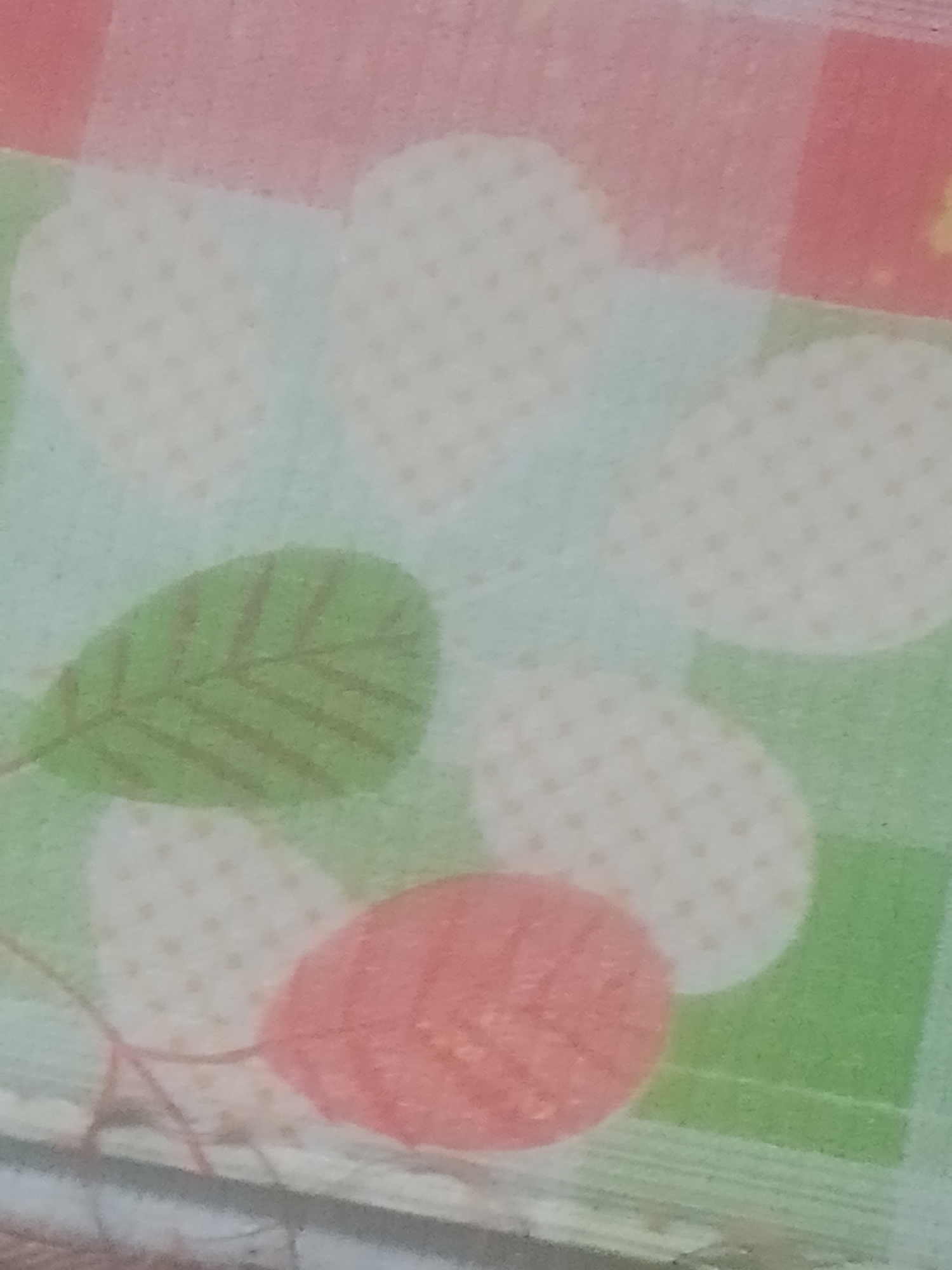 The image is a close-up, blurry, and abstract shot of a patterned surface. The pattern appears to be a floral or leaf design with large, soft-edged shapes in white, green, and pink. Some of the white shapes are dotted. There are faint green lines that could be stems or veins of leaves, and a reddish-pink oval shape that resembles a leaf or petal. The background seems to be a grid-like pattern in light green and pink. There are no people or identifiable objects that would suggest a location within the city of Jauro Yinu, Nigeria, or any specific environment. The image is not clear enough to provide any further details.