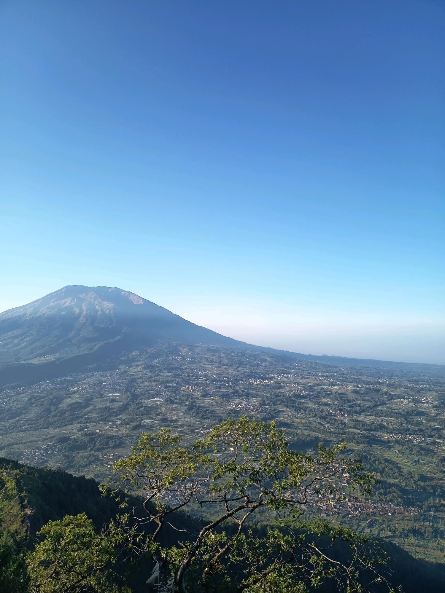 A wide-angle, high-angle shot captures a panoramic view of a volcanic mountain range and a settlement in the distance. The foreground features the branches of a tree with green leaves against a bright blue sky. In the mid-ground, a large, majestic mountain dominates the left side of the frame, its slopes covered in dark green vegetation. A light haze obscures the base of the mountain and the horizon. The right side of the frame presents a sprawling settlement, with buildings clustered together amidst terraced fields and lush green landscapes. The village appears to be situated in a valley or on the foothills of the mountain range. The overall scene depicts a serene natural landscape with a human settlement integrated into it, likely in the area of Tolokan, Indonesia, given the context. The lighting suggests it is daytime, possibly morning or late afternoon, due to the soft illumination and clear sky. There are no people or animals visible in the frame.