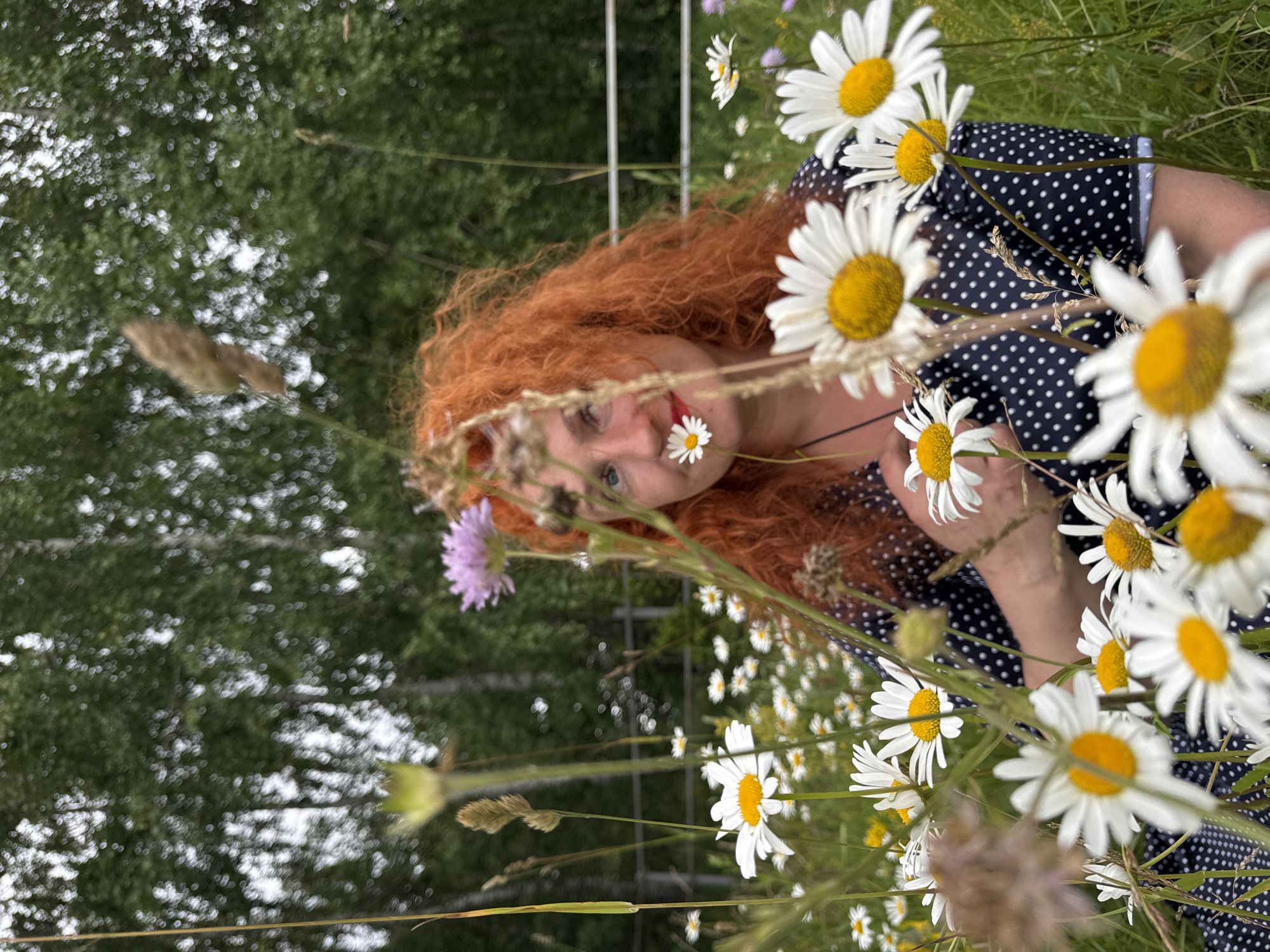 A woman with bright red, curly hair is partially visible behind a field of white daisies in Privolzhsky, Russia. She is wearing a dark blue dress with white polka dots and has a single daisy positioned in front of her mouth. The background is softly blurred, showing trees and a white fence. The focus of the image is on the woman and the surrounding flowers, suggesting a natural, outdoor setting.