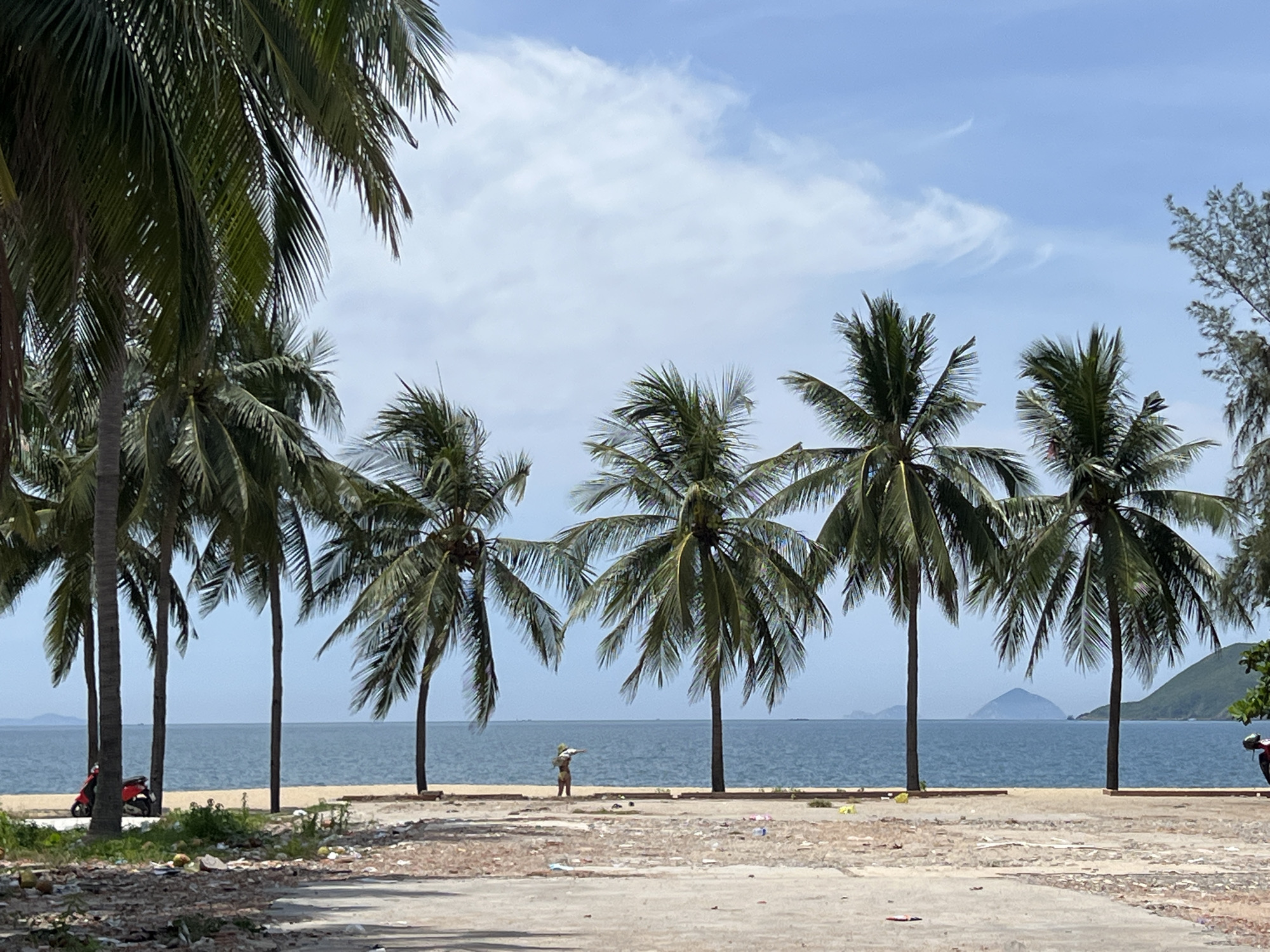The image captures a tropical beach scene in Nha Trang, Vietnam. A line of mature palm trees forms a natural canopy against a bright blue sky dotted with white clouds. Beyond the palm trees, the calm blue sea stretches to the horizon, where distant islands and a conical mountain are visible. In the foreground, a sandy beach appears somewhat littered with debris. A person stands near the water's edge, facing away from the camera, appearing to observe the sea. Further left, a red motorcycle is parked near the edge of the tree line. The overall impression is one of a somewhat undeveloped or natural coastal area, with a few signs of human presence.