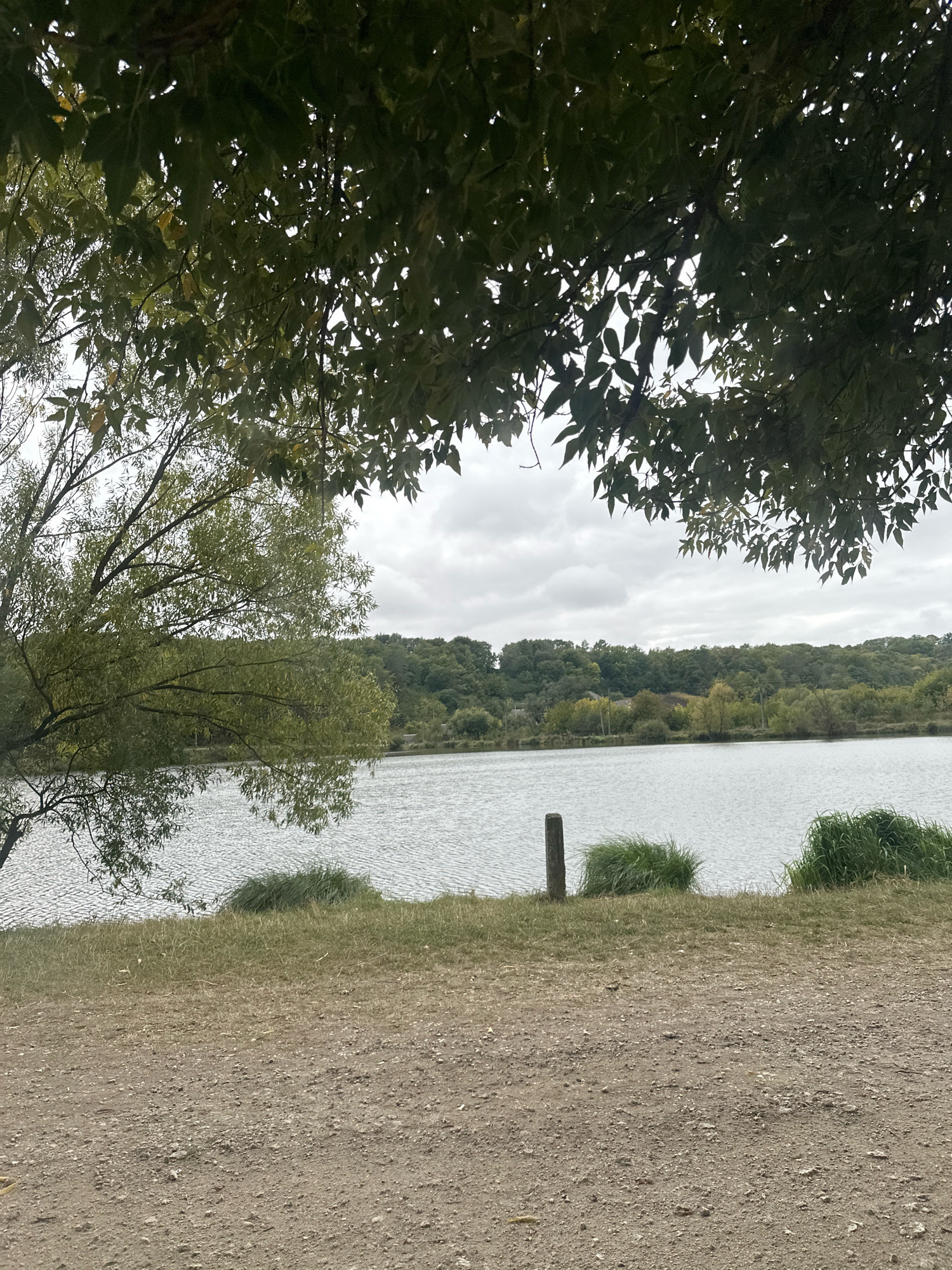 The image depicts a tranquil natural scene near the village of Makiv, Ukraine, characterized by a lake and its surrounding landscape. In the foreground, a dirt path, composed of gravel and soil, stretches across the bottom of the frame. To the left, a large tree with green leaves extends branches into the upper portion of the image, casting shadows.
Beyond the path lies a calm lake, its surface rippled by a gentle breeze. The water reflects the overcast sky, which is filled with gray clouds. Along the shoreline of the lake, patches of dry grass and tufts of green reeds are visible. A single, weathered wooden post stands upright in the shallow water near the bank.
The background is dominated by a dense line of trees, forming a verdant border along the far side of the lake. These trees vary in shades of green and exhibit the signs of late summer or early autumn foliage. The overall atmosphere is one of quietude and natural beauty.