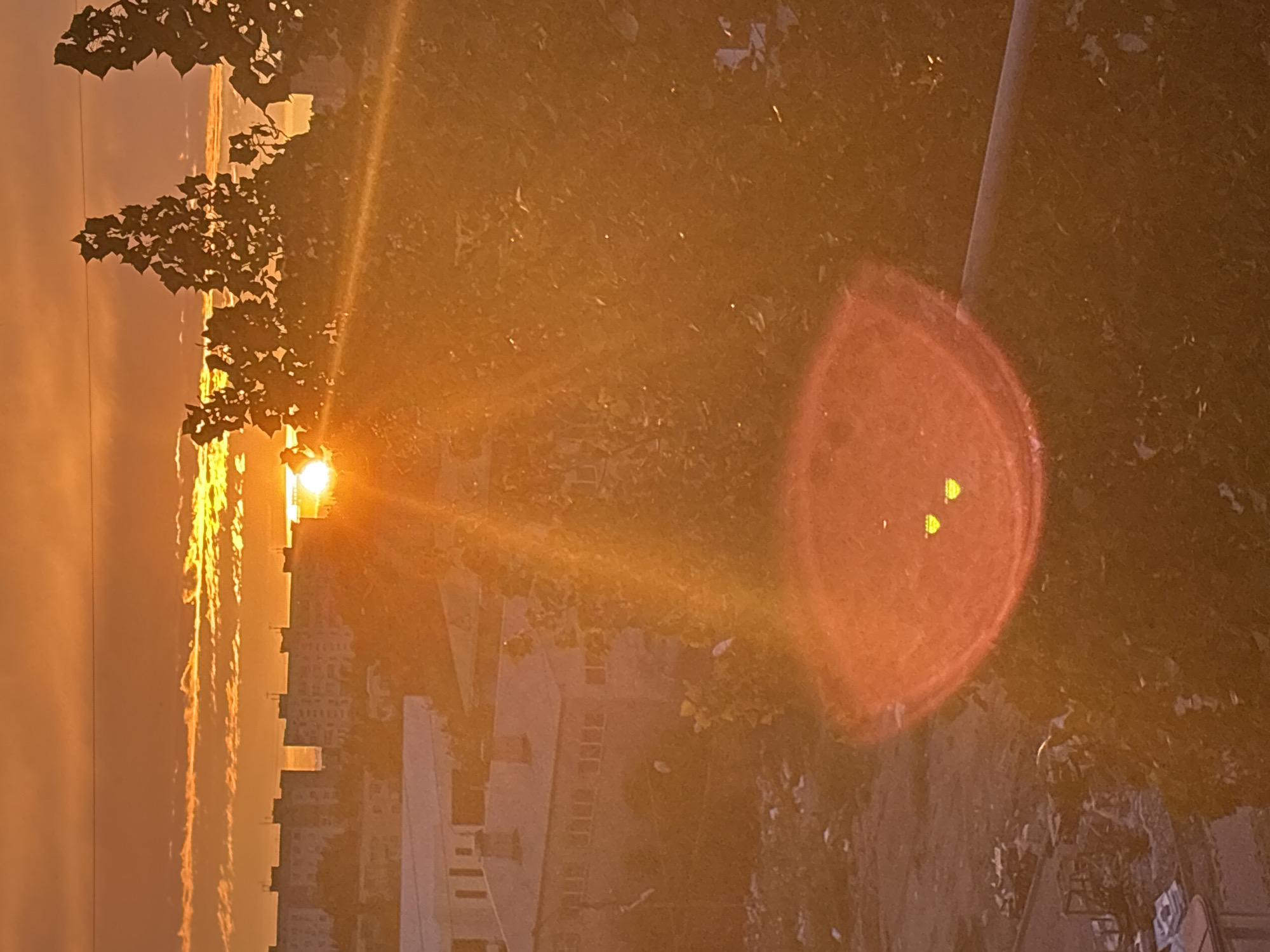 This image captures an outdoor scene during either a sunset or sunrise, likely in Tri Protoka, Russia. The sky is filled with a warm, golden and orange hue, indicating the "golden hour" of photography. The sun, a brilliant and intense light source, is positioned on the left side of the frame, partially obscured by the silhouette of dark tree branches and foliage. Bright sunrays emanate from its core, casting a radiant glow across the atmosphere.
A prominent lens flare, appearing as a large, semi-circular shape in shades of orange and red, dominates the right side of the image. Within this flare, two small, distinct bright yellow specks are visible. Below the sun and trees, a skyline of buildings is present, mostly appearing as dark silhouettes against the bright backdrop, though some windows and structural details are discernible. The ground on the right side of the image is dark and textured, possibly covered in vegetation, and a dark, slender pole or vertical structure extends upwards. The overall atmosphere is hazy and warm, imbued with the soft, diffused light of the low-lying sun. There are no people visible, nor any identifiable text.
