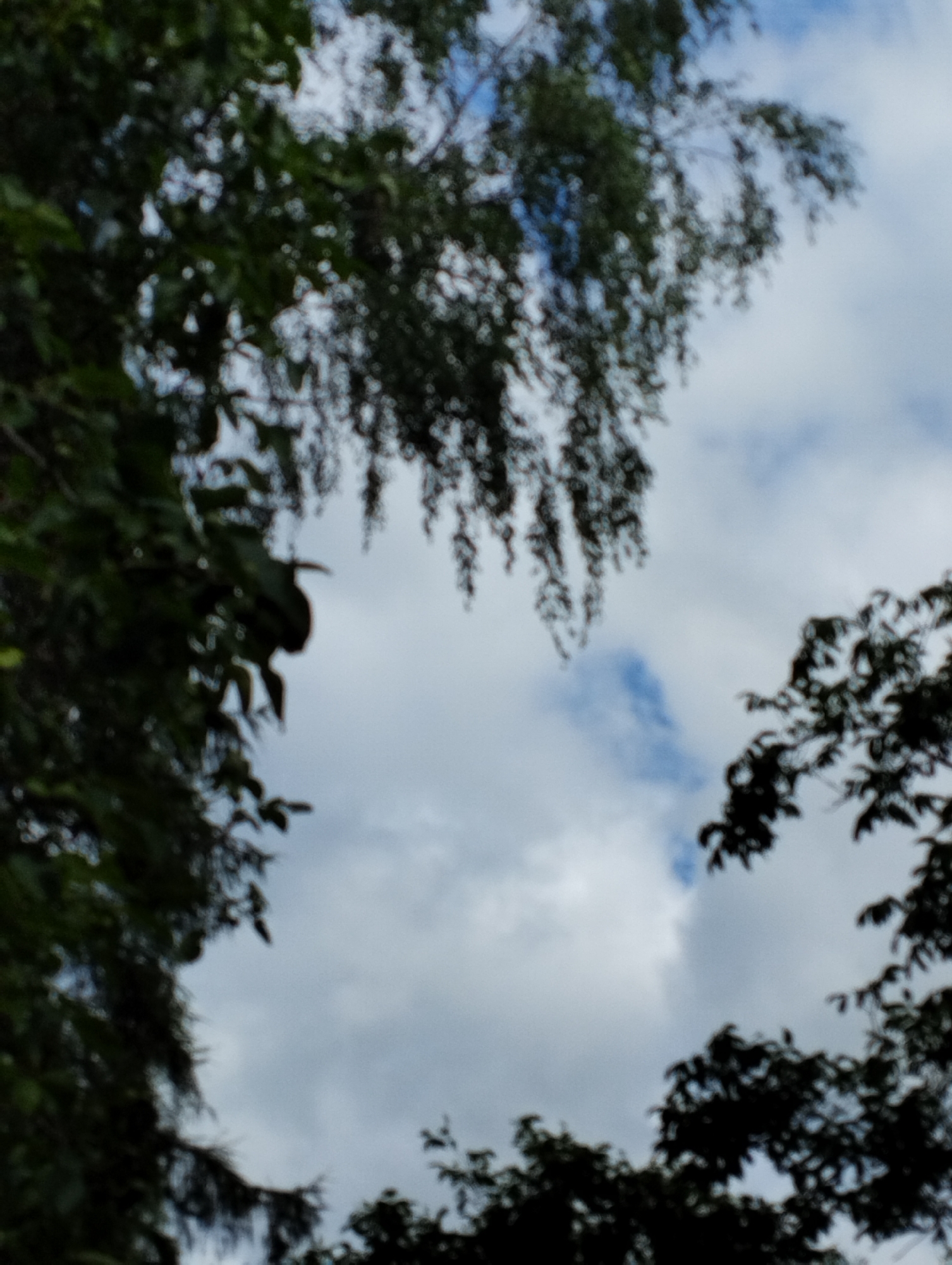 The image shows a view looking up through trees at a cloudy sky, with some patches of blue visible. The foliage is dark and out of focus, suggesting the photograph was taken on a partly cloudy day in Koziegłowy, Poland. There are no people or specific objects clearly identifiable in the scene due to the blurriness and the focus on the natural elements. The overall impression is of a peaceful, nature-oriented setting within the city.